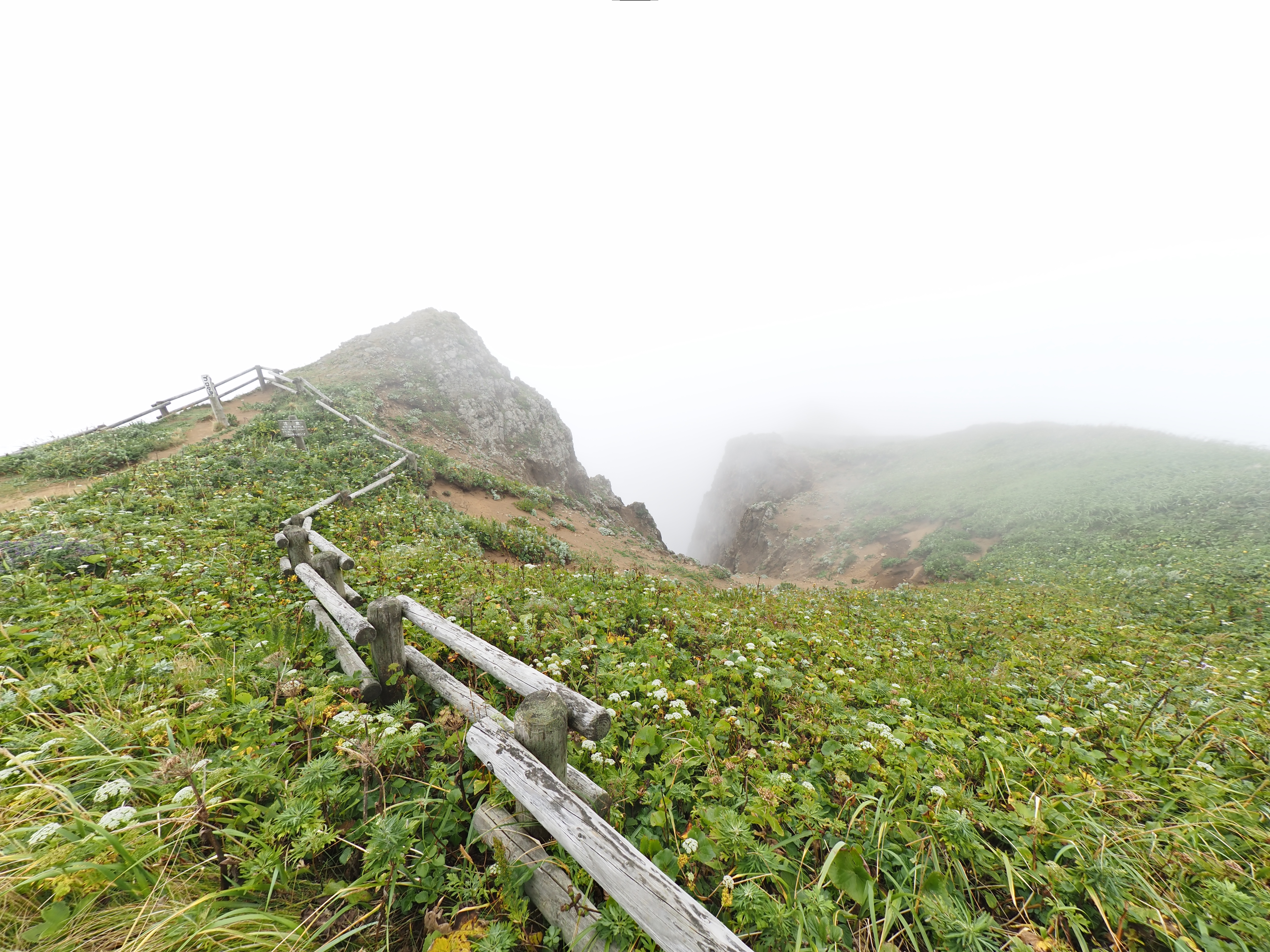E-M5 Mark III　M.ZUIKO DIGITAL ED 8mm F1.8 Fisheye PRO　ISO 200（F5.6・1/400）絞り優先AE +1EV　WBオート フィッシュアイ補正撮影