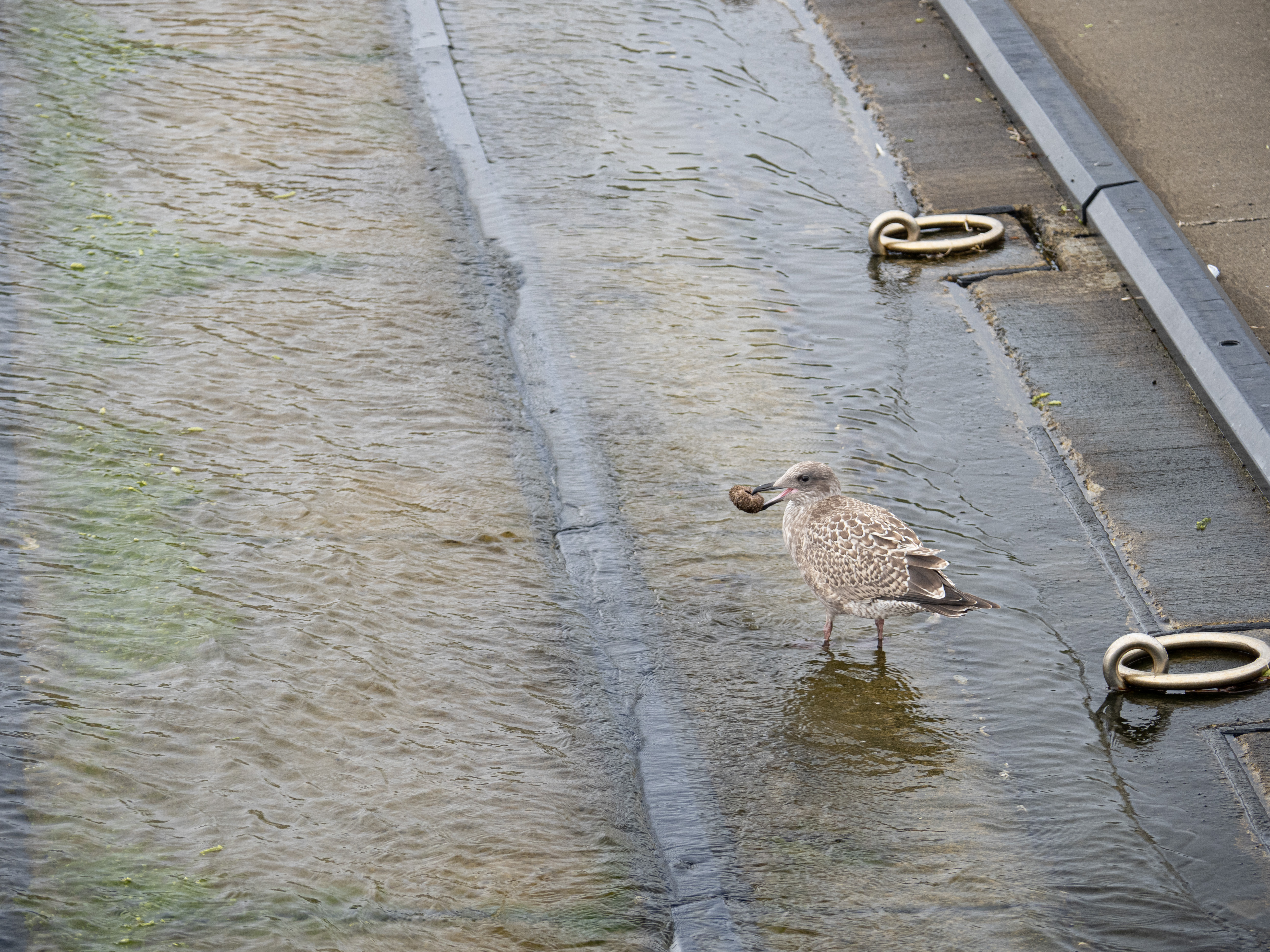 E-M1X　M.ZUIKO DIGITAL ED 12-100mm F4.0 IS PRO　ISO 200（F4.0・1/100）絞り優先AE　+0.3EV　WBオート