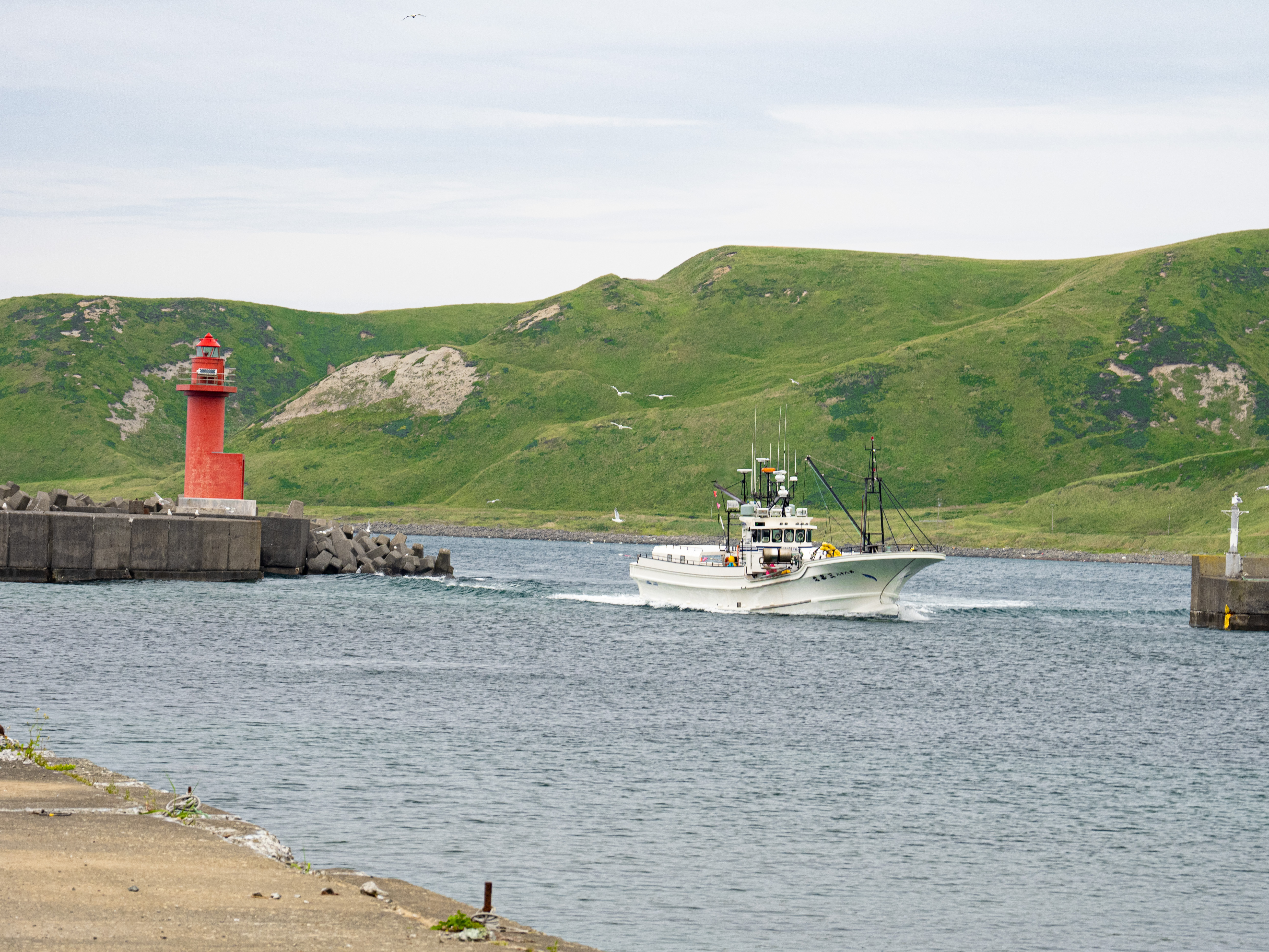 E-M1 Mark III　M.ZUIKO DIGITAL ED 12-100mm F4.0 IS PRO　ISO 200（F5.6・1/125）絞り優先AE　WBオート