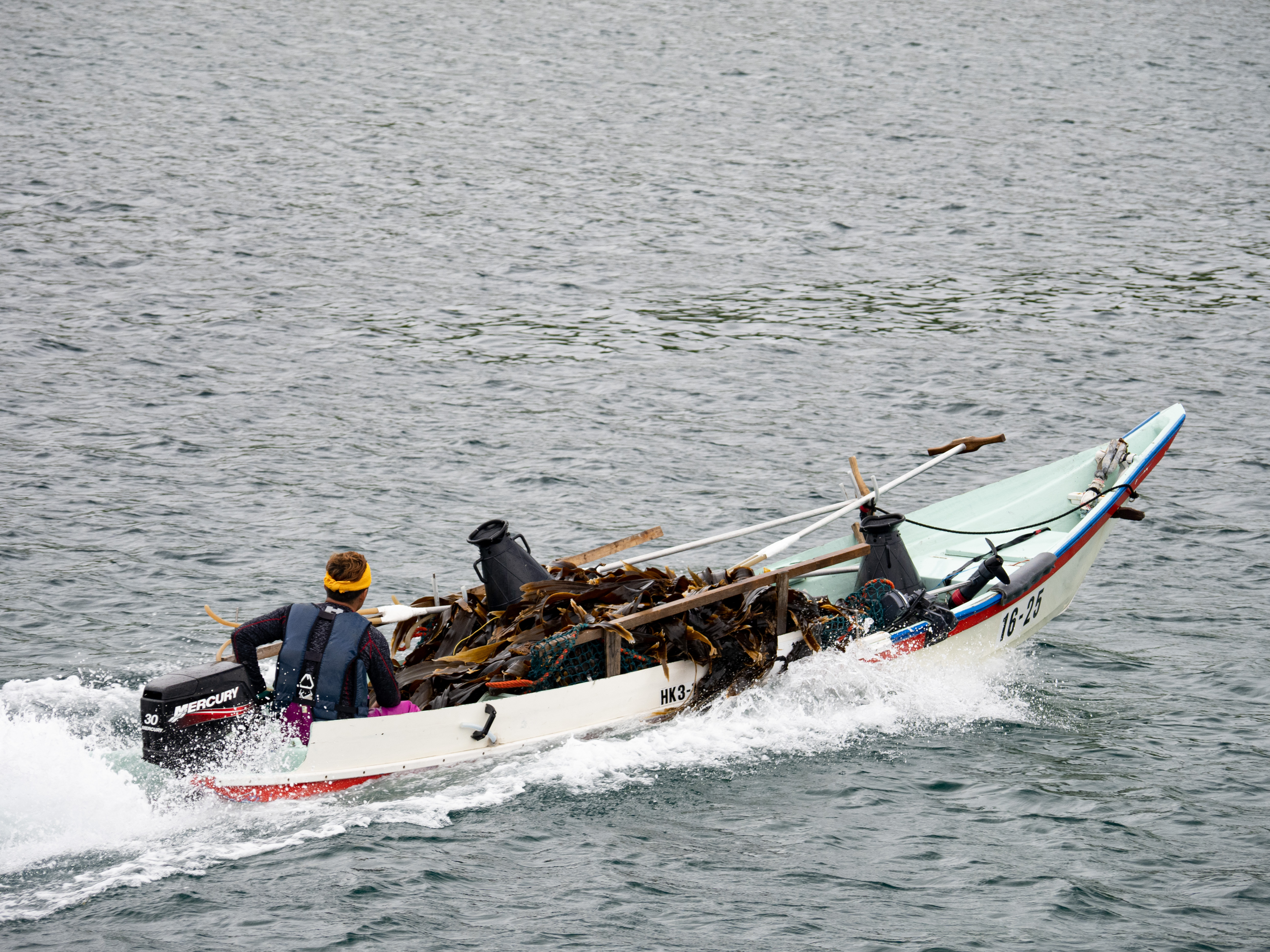 E-M1 Mark III　M.ZUIKO DIGITAL ED 12-100mm F4.0 IS PRO　ISO 400（F4.0・1/500）絞り優先AE　+0.3EV　WBオート