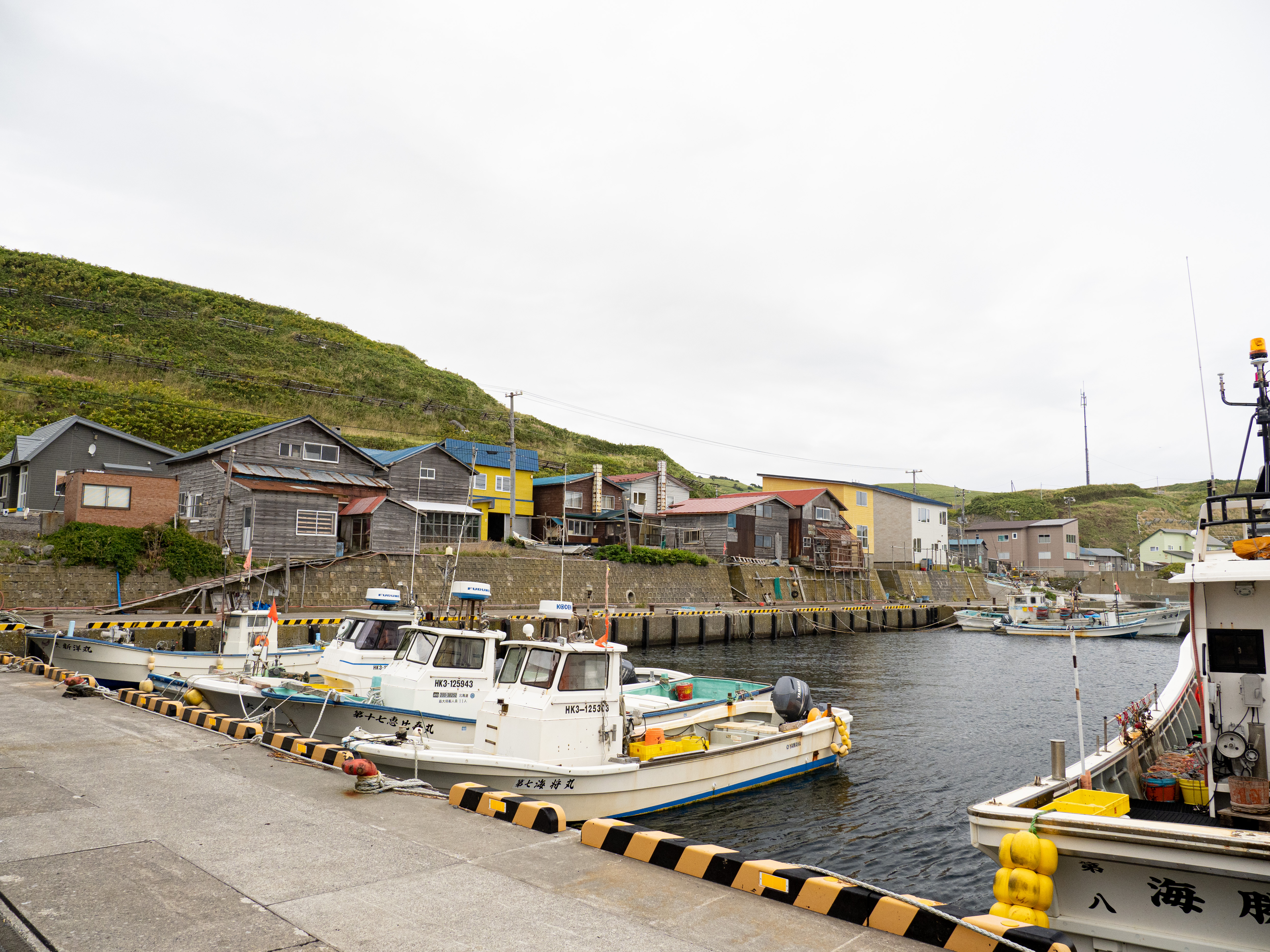 E-M1 Mark III　M.ZUIKO DIGITAL ED 12-100mm F4.0 IS PRO　ISO 400（F5.6・1/200）絞り優先AE　+0.7EV　WBオート