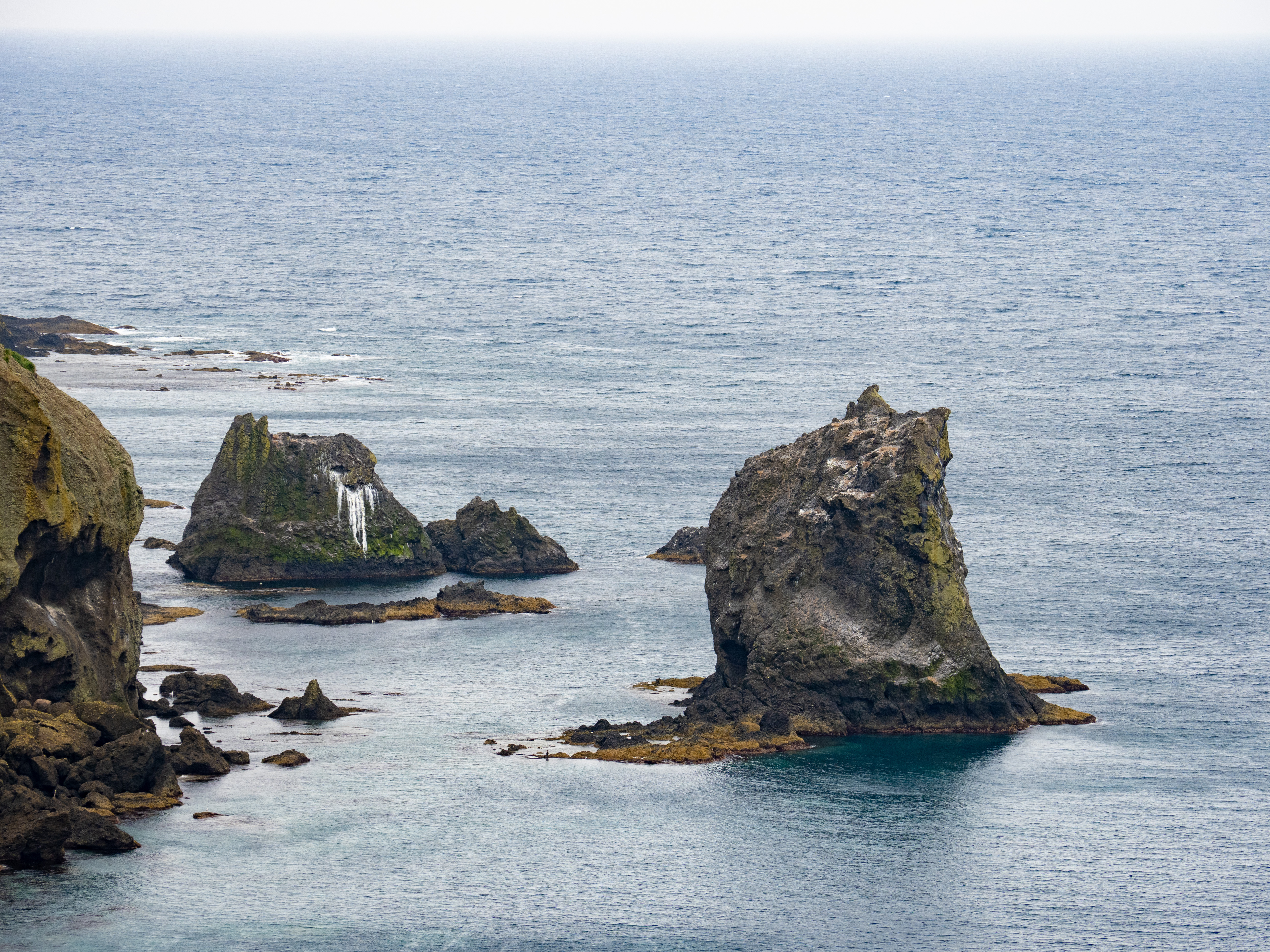 E-M1 Mark III　M.ZUIKO DIGITAL ED 12-100mm F4.0 IS PRO　ISO 400（F5.6・1/25）絞り優先AE　+0.7EV　WBオート