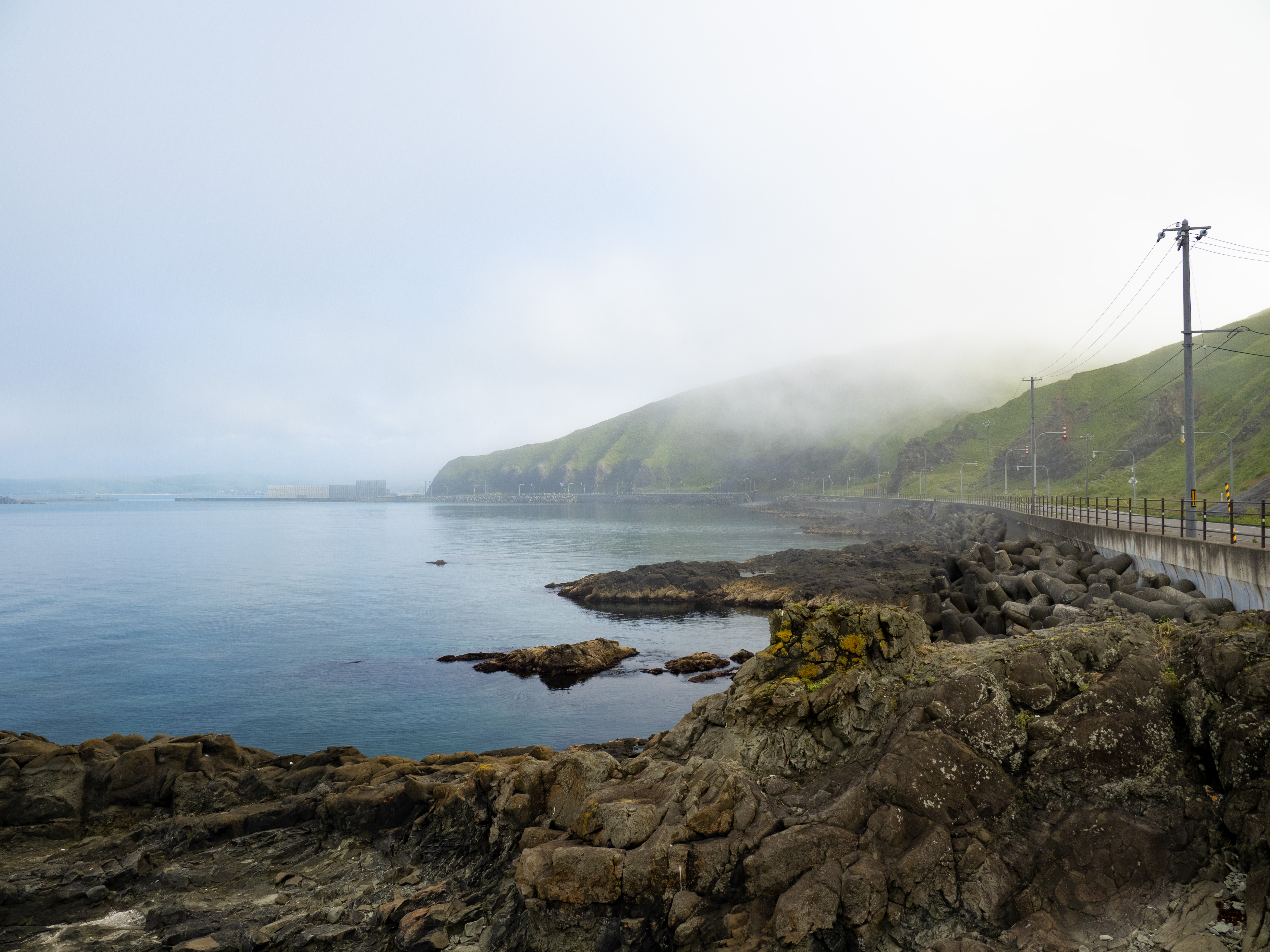 E-M1 Mark III　M.ZUIKO DIGITAL ED 12-100mm F4.0 IS PRO　ISO 200（F8.0・1/100）絞り優先AE　+0.7EV　WBオート