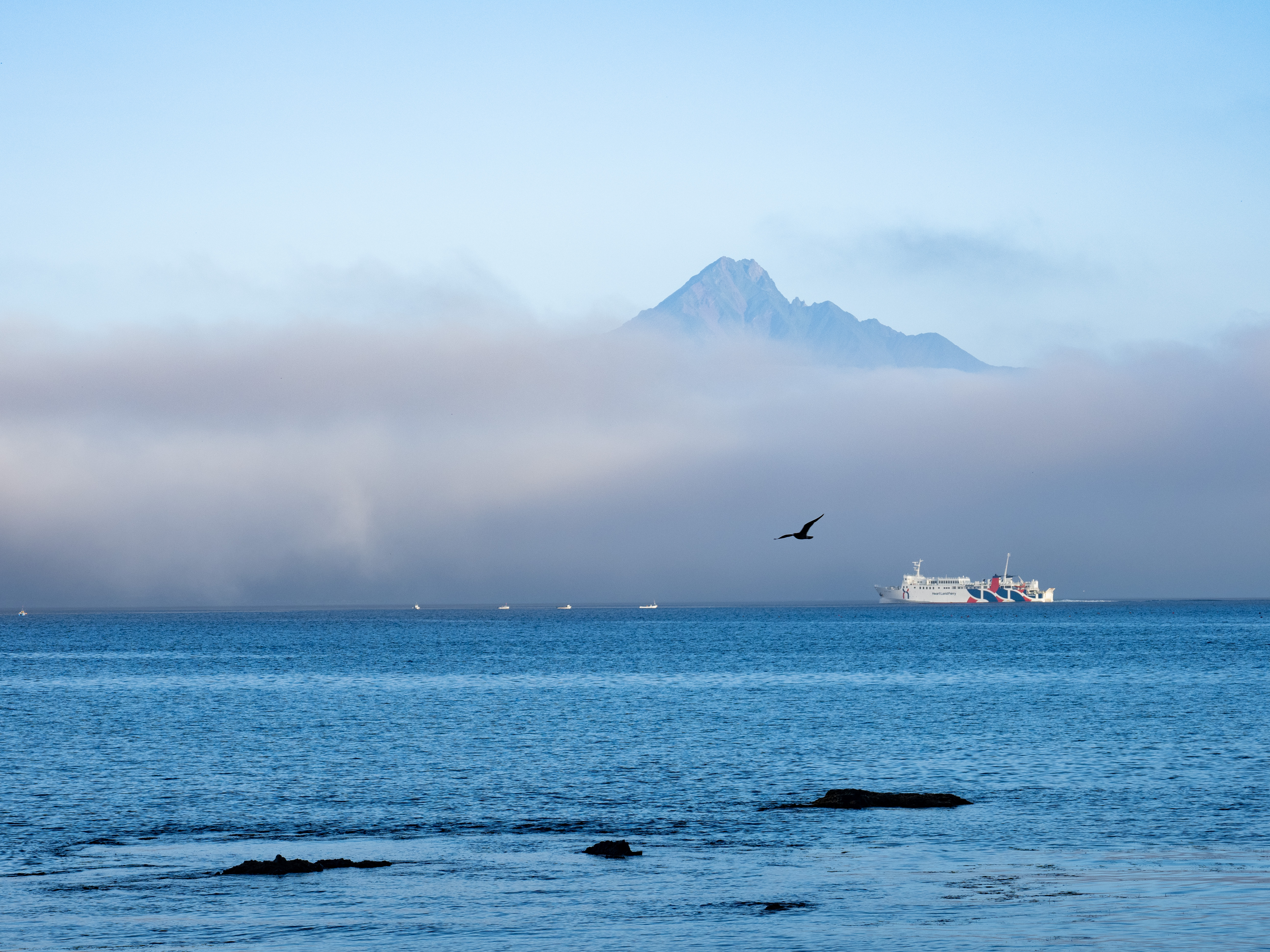 E-M1 Mark III　M.ZUIKO DIGITAL ED 12-100mm F4.0 IS PRO　ISO 200（F5.6・1/320）絞り優先AE　+0.7EV　WBオート　マルミEXUS CIRCULAR P.L Mark II使用