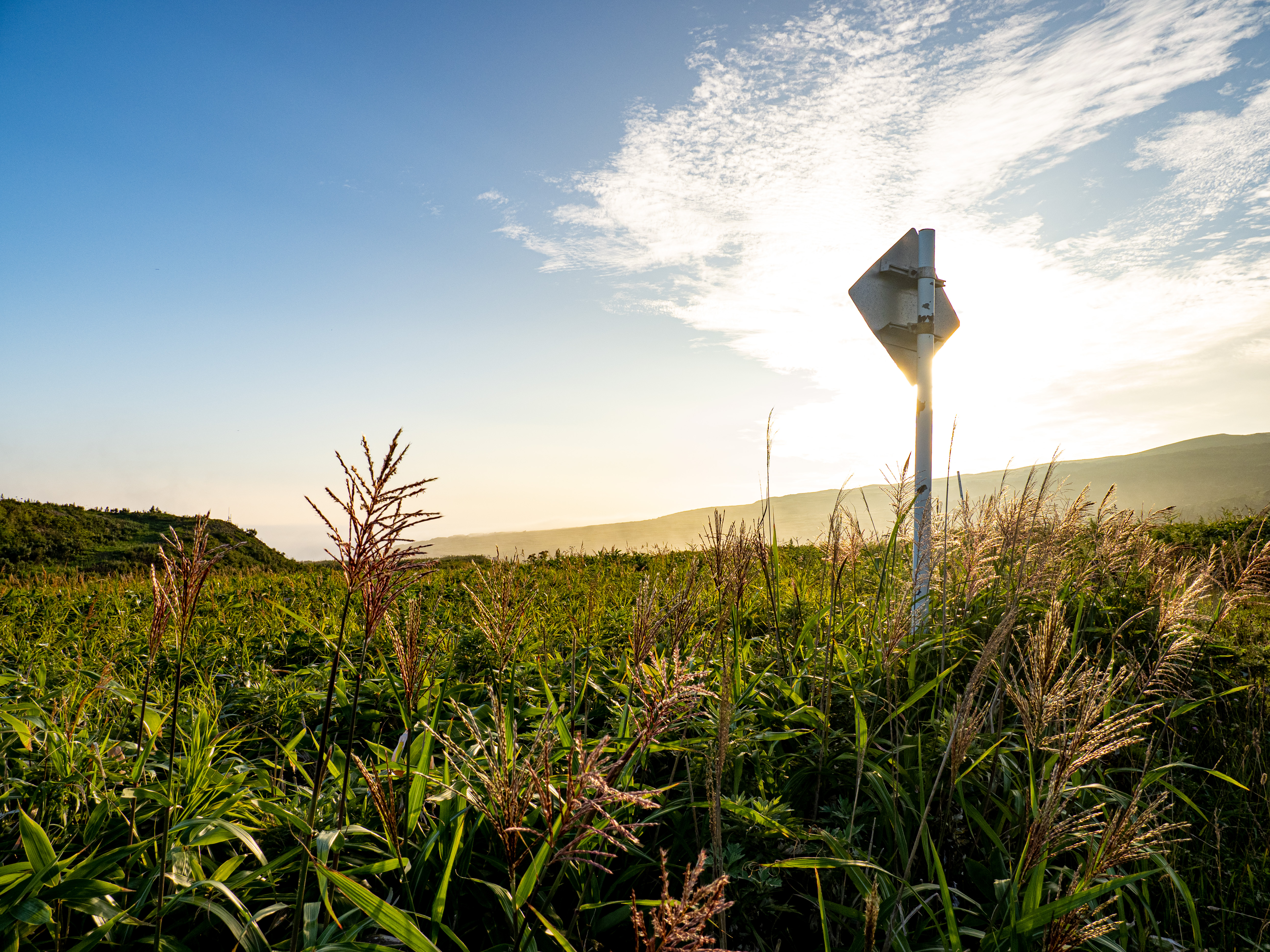 E-M1 Mark III　M.ZUIKO DIGITAL ED 12-100mm F4.0 IS PRO　ISO 200（F8.0・1/125）絞り優先AE　+2EV　WBオート　マルミEXUS CIRCULAR P.L Mark II使用