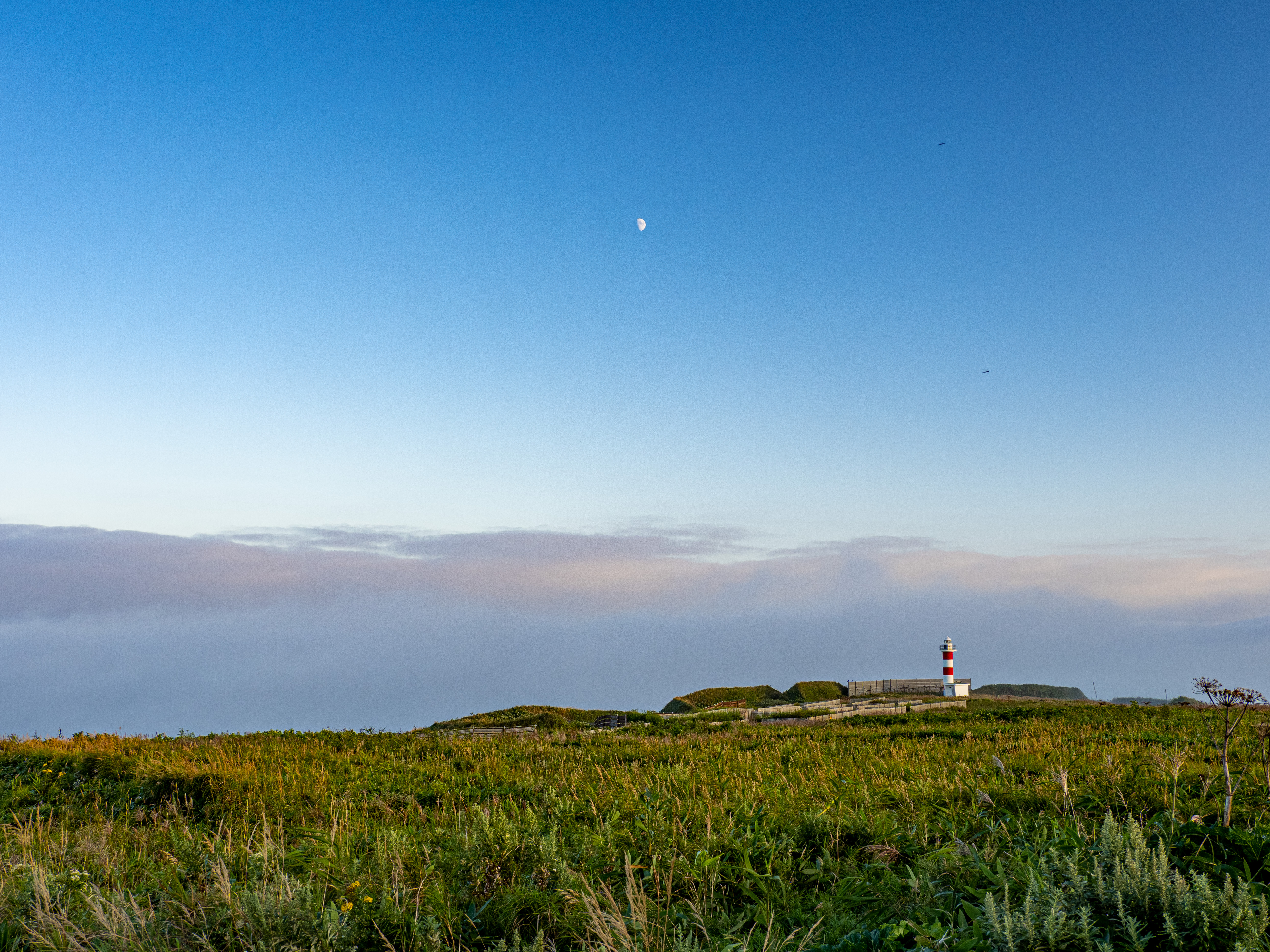 E-M1 Mark III　M.ZUIKO DIGITAL ED 12-100mm F4.0 IS PRO　ISO 200（F5.6・1/100）絞り優先AE　+1EV　WBオート　マルミEXUS CIRCULAR P.L Mark II使用