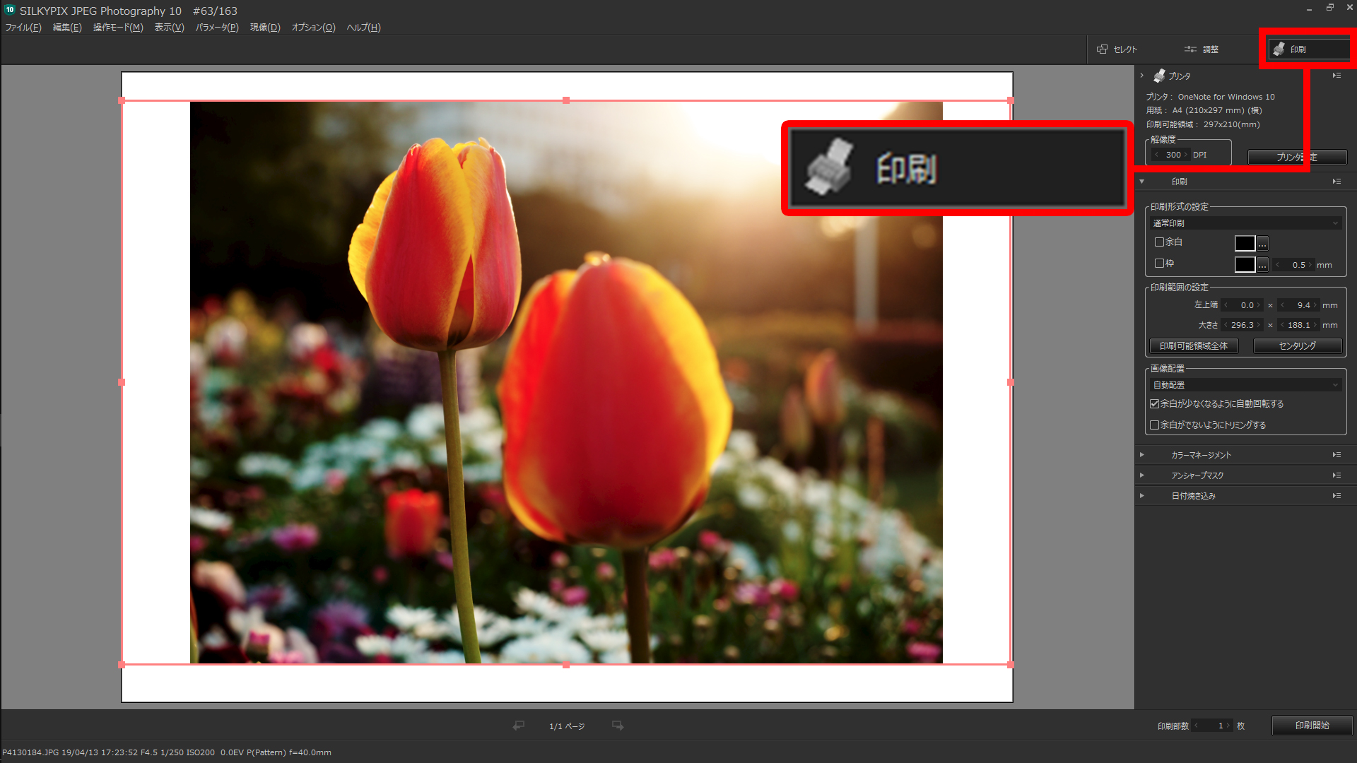 文字どおりプリントを作る機能。プレビューエリアで縦と横の枠をドラッグすると、用紙に対する写真の大きさが決められる。
