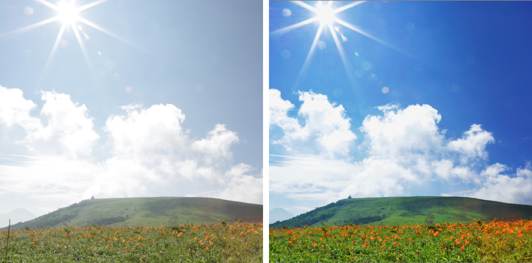 上と同じJPEG画像をJPEG Photographyで複合的に補正。白とびしたJPEGでも、ここまできれいに仕上げられる。撮影時に露出をマイナス補正して白とびを軽減していれば、もっとよい仕上がりになったはず。