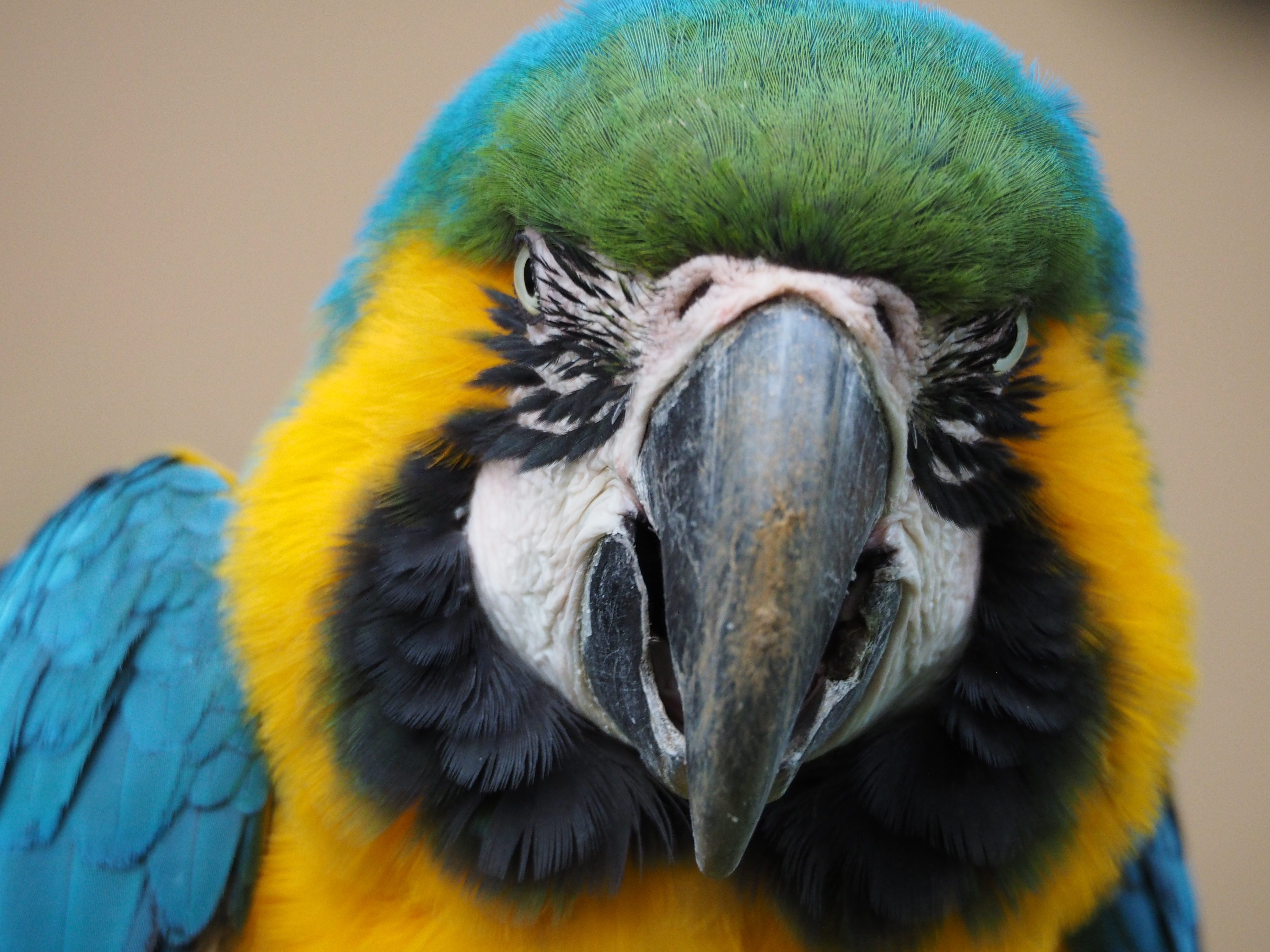 撮影したままの状態。