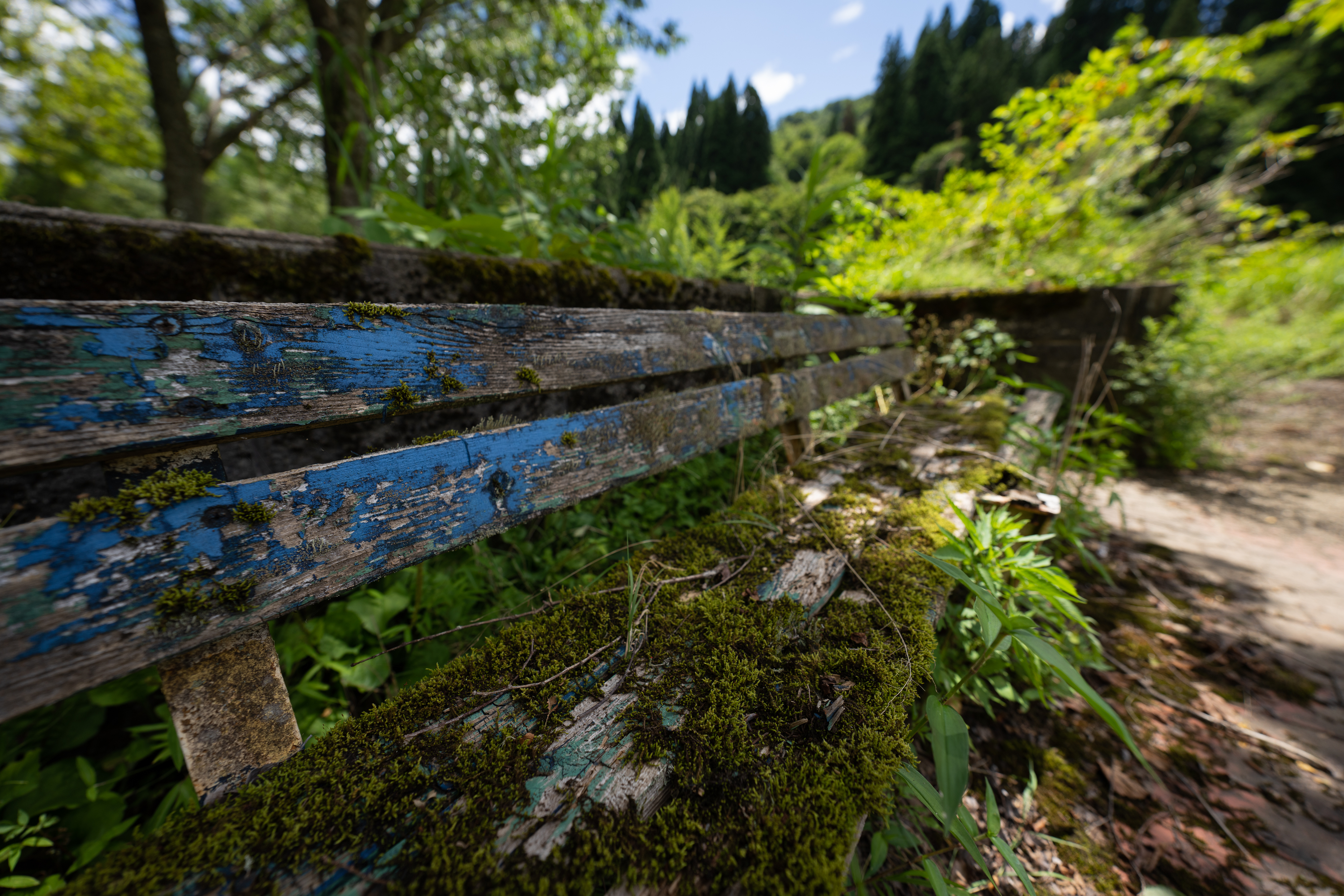 <span class="fnt-85">SONY α7R IV / FE 12-24mm F2.8 GM / 12mm / 絞り優先AE（F2.8、１/800秒、-1.0EV） / ISO 100 / WB：AUTO</span>