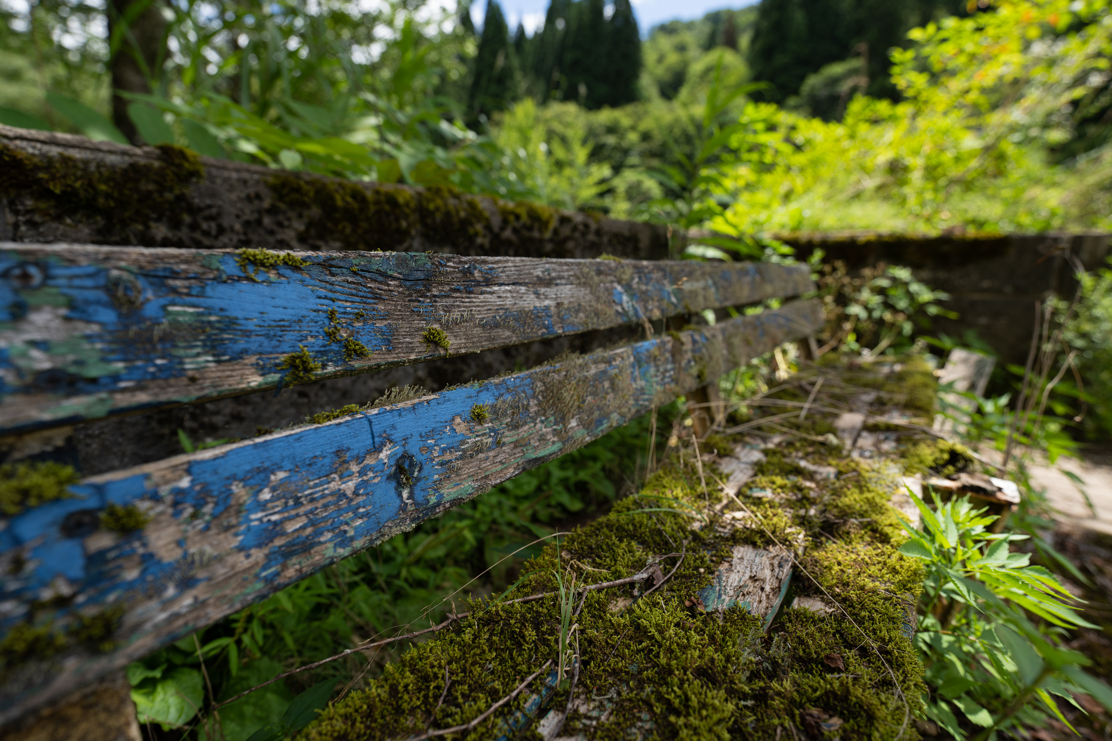 <span class="fnt-85">SONY α7R IV / FE 12-24mm F2.8 GM / 18mm / 絞り優先AE（F2.8、１/640秒、-1.0EV） / ISO 100 / WB：AUTO</span>