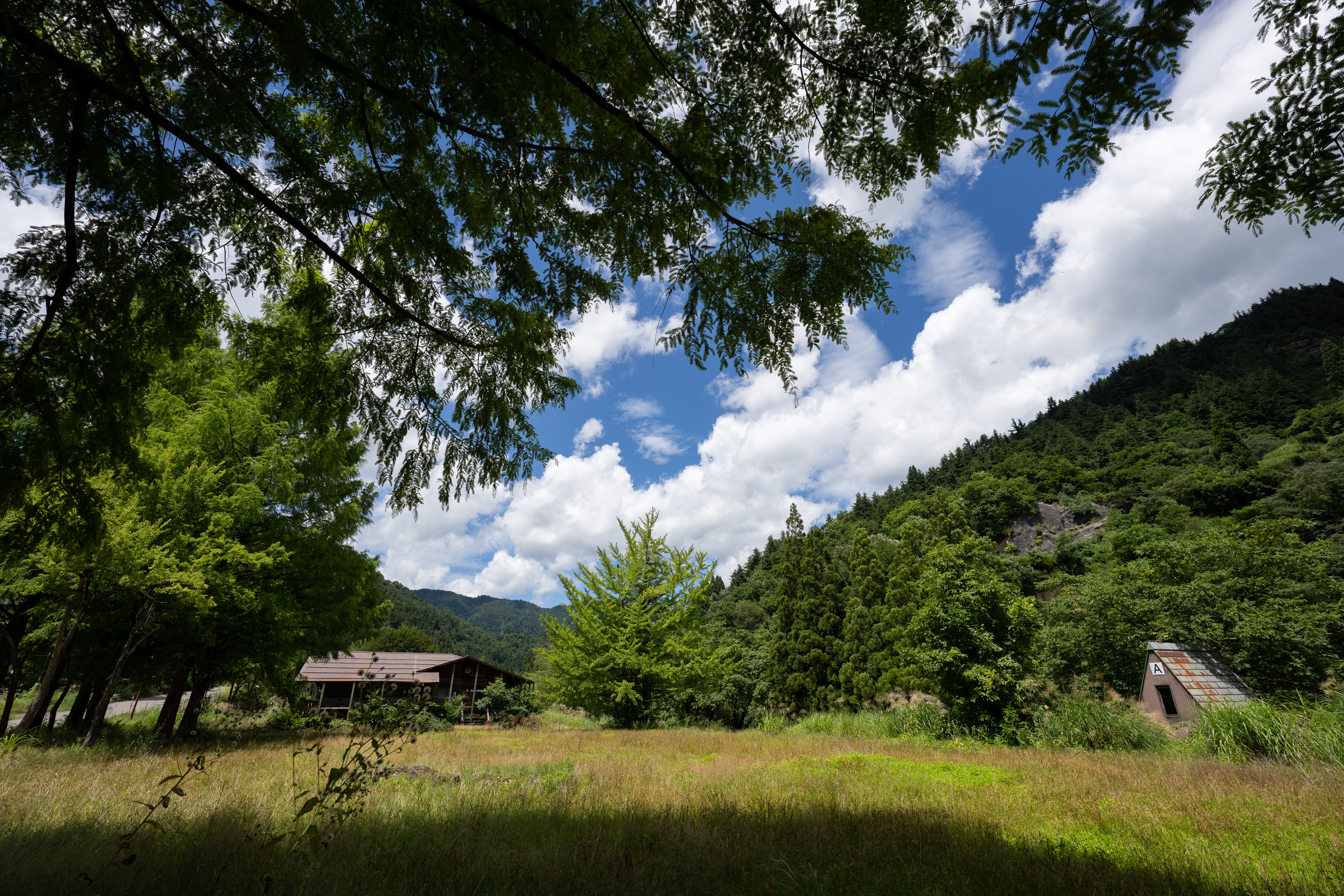 <span class="fnt-85">SONY α7R IV / FE 12-24mm F2.8 GM / 15mm / 絞り優先AE（F5.6、1/1,000秒、-1.3EV） / ISO 100 / WB：AUTO</span>
