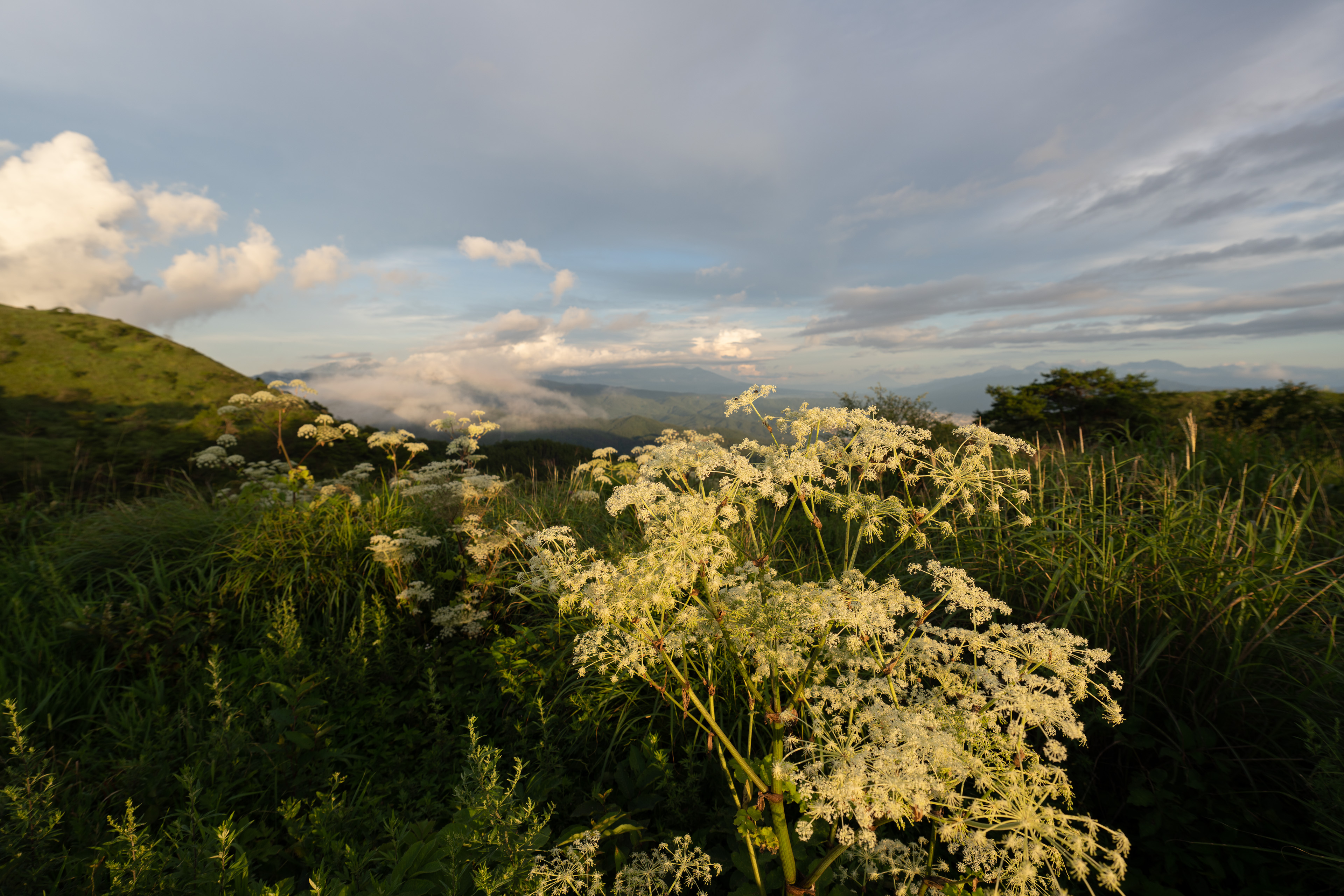 <span class="fnt-85">SONY α7R IV / FE 12-24mm F2.8 GM / 16mm / 絞り優先AE（F4、1/250秒、-0.3EV） / ISO 100 / WB：AUTO</span>