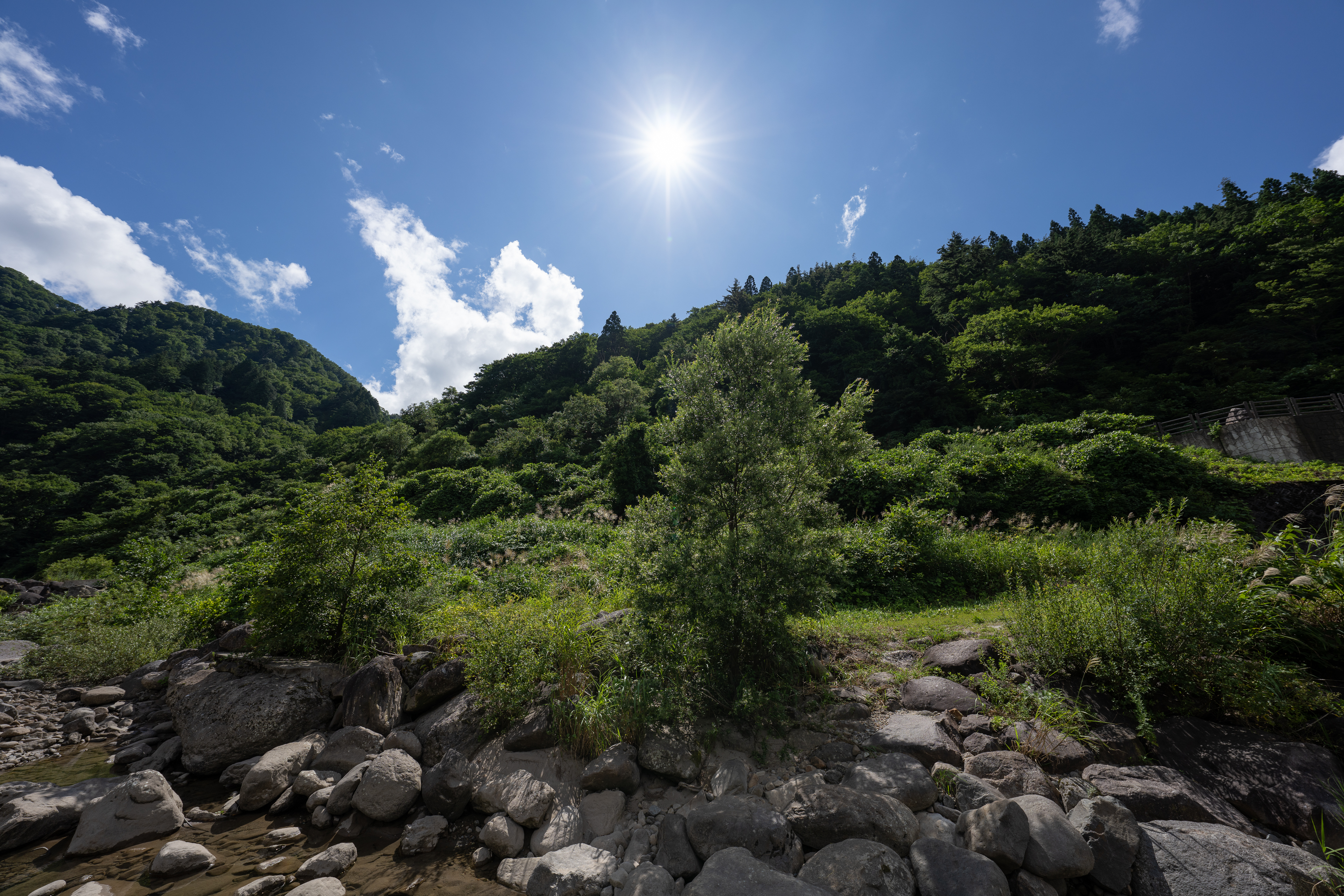 <span class="fnt-85">SONY α7R IV / FE 12-24mm F2.8 GM / 12mm / 絞り優先AE（F5.6、１/800秒、-1.0EV） / ISO 100 / WB：AUTO</span>