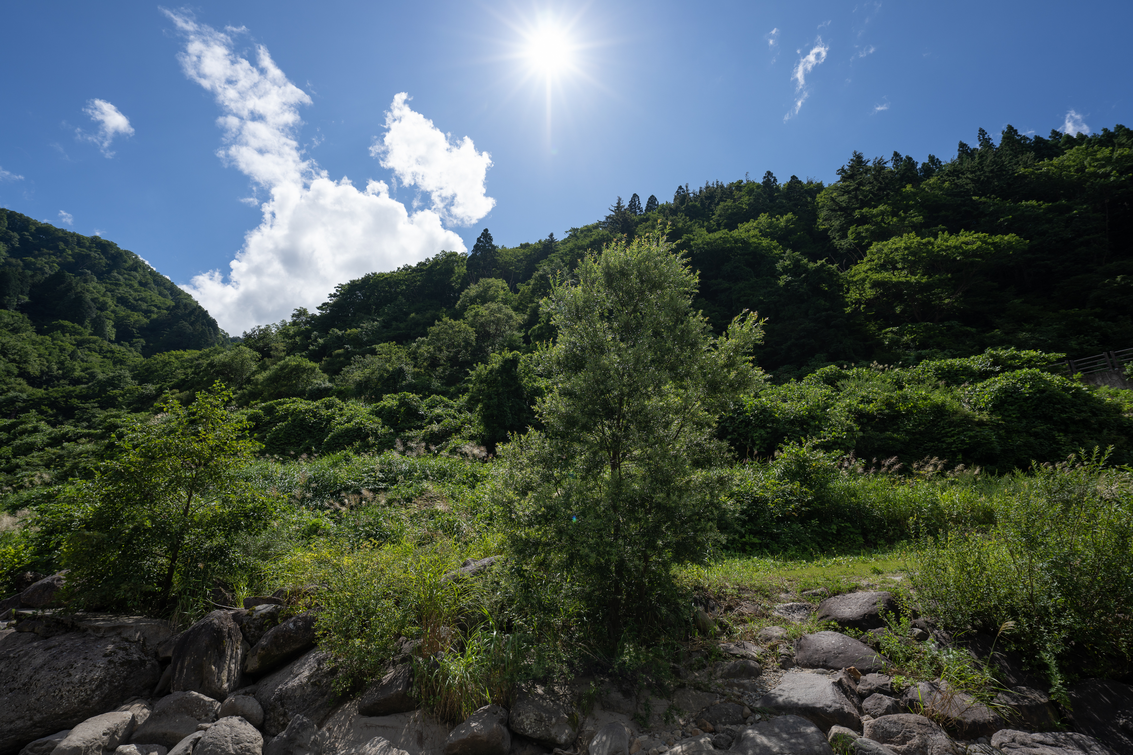 <span class="fnt-85">SONY α7R IV / FE 12-24mm F2.8 GM / 16mm / 絞り優先AE（F5.6、１/640秒、-1.0EV） / ISO 100 / WB：AUTO</span>