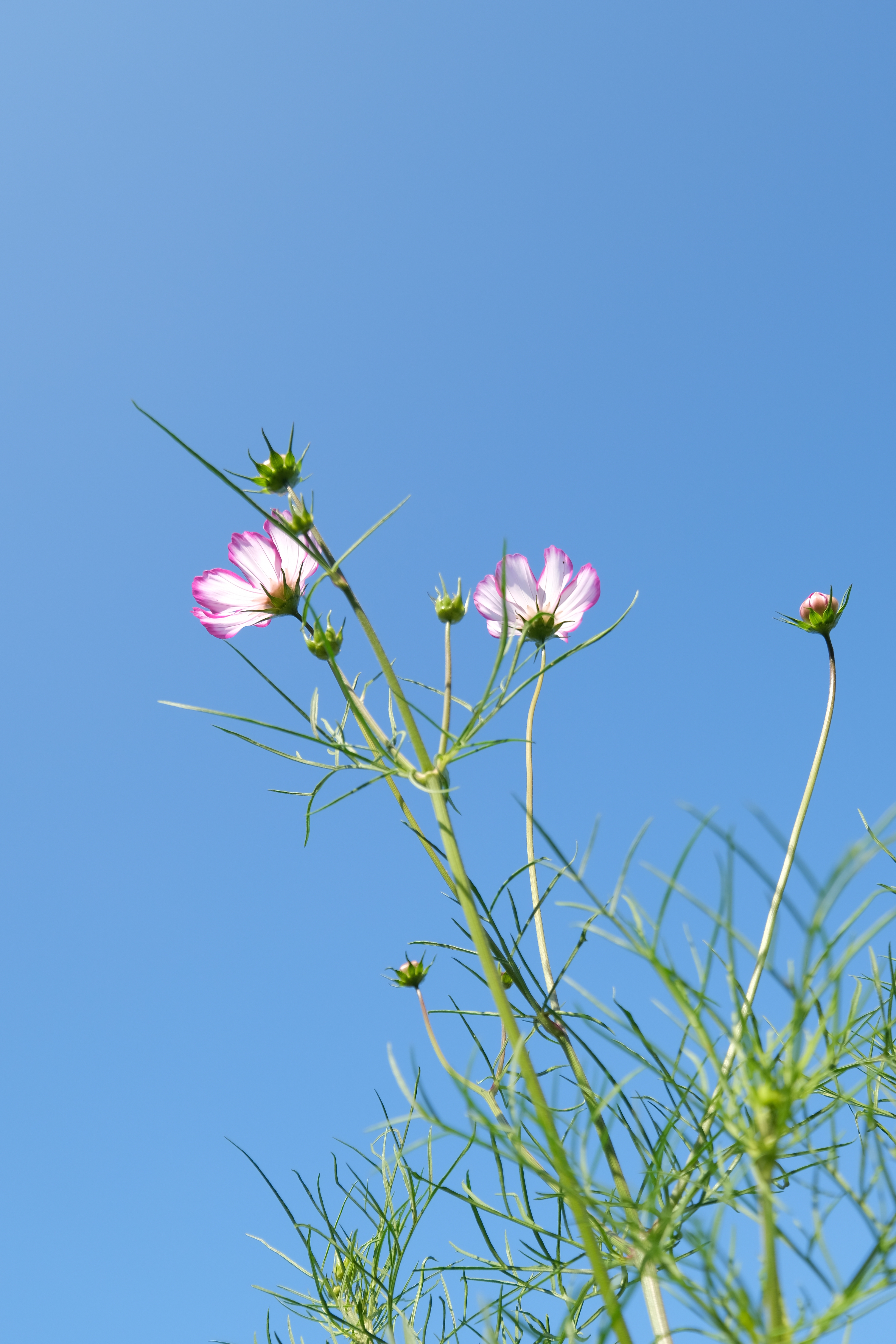 <span class="fnt-85">X-T4 / XF10-24mmF4 R OIS WR（20mm：30mm相当） / 絞り優先AE（F5.6・1/1,280秒・+1.0EV） / ISO 160</span>