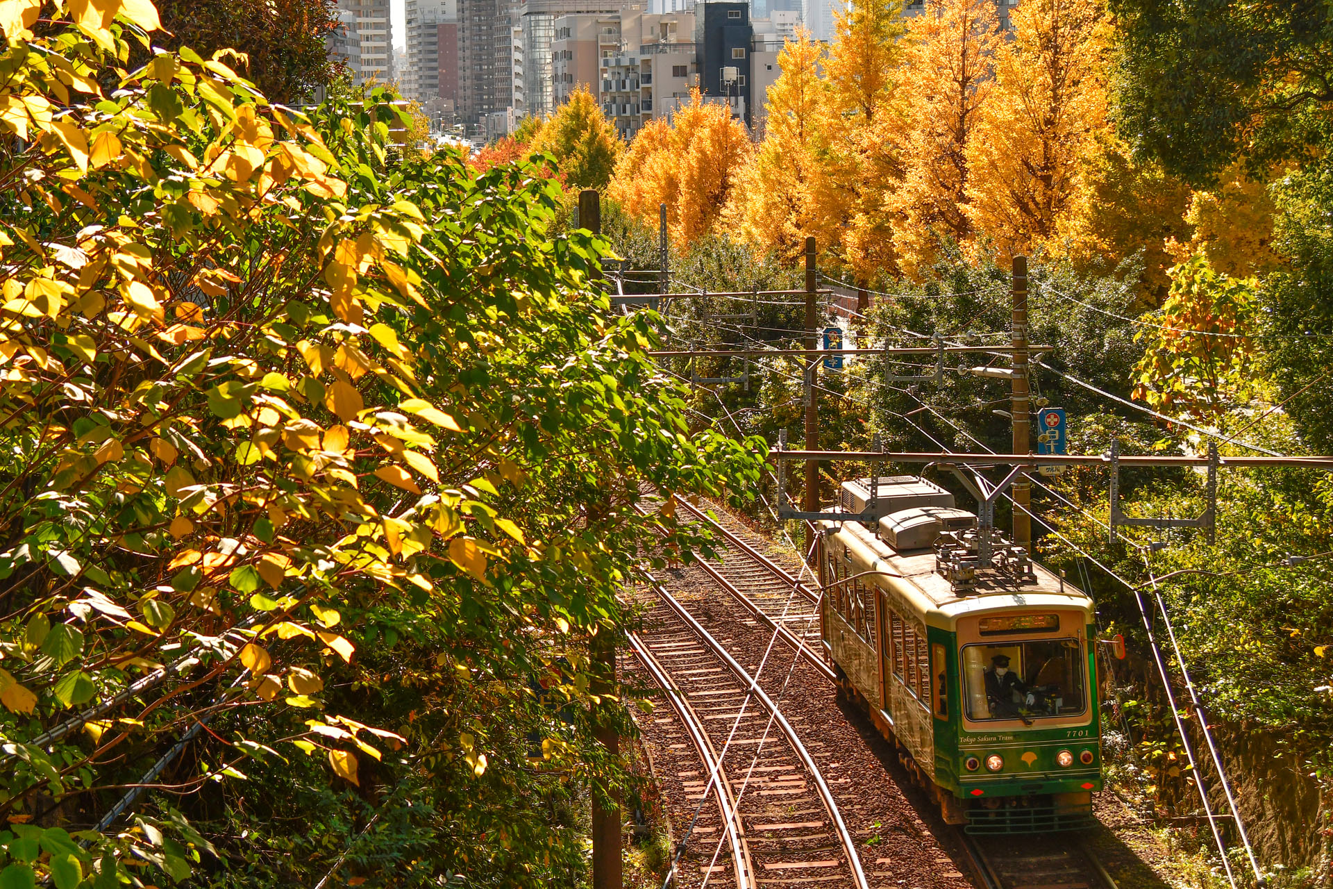 ニコンD7500　AF-S NIKKOR 24-120mm f/4G ED VR（66mm）　絞り優先オート（F4.5、1/1,000秒）ISO 200　WB:晴天日陰　風景