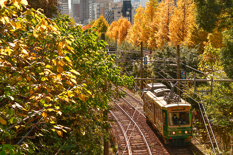 中井精也のエンジョイ鉄道ライフ「ジョイテツ！」：初心者でも楽しく