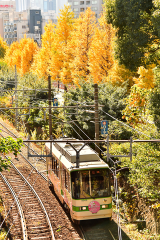 中井精也のエンジョイ鉄道ライフ「ジョイテツ！」：初心者でも楽しく