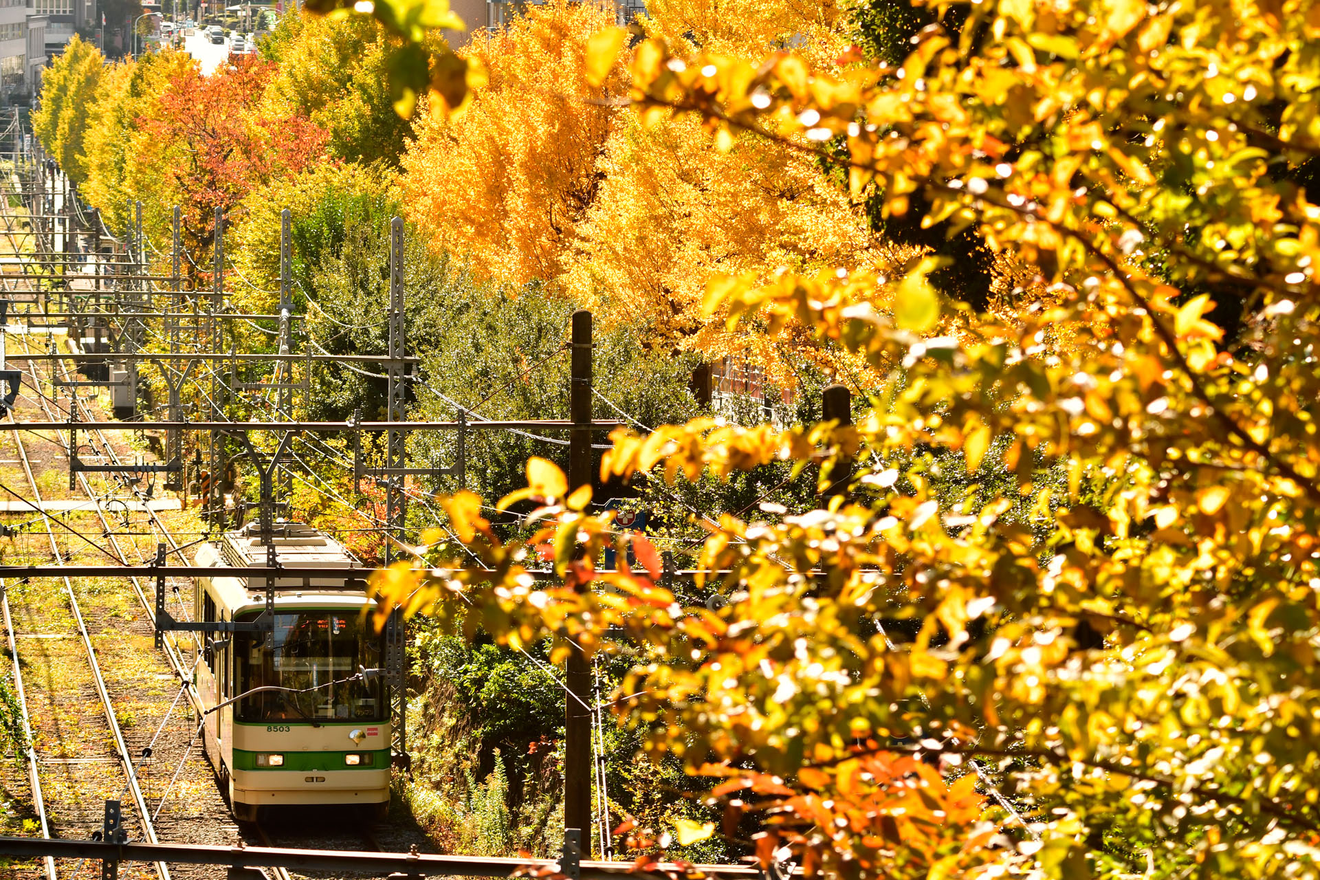 ニコンD7500　AF-S NIKKOR 70-200mm f/4G ED VR（147mm）　絞り優先オート（F6.3、1/320秒）ISO 200　WB:晴天日陰　風景