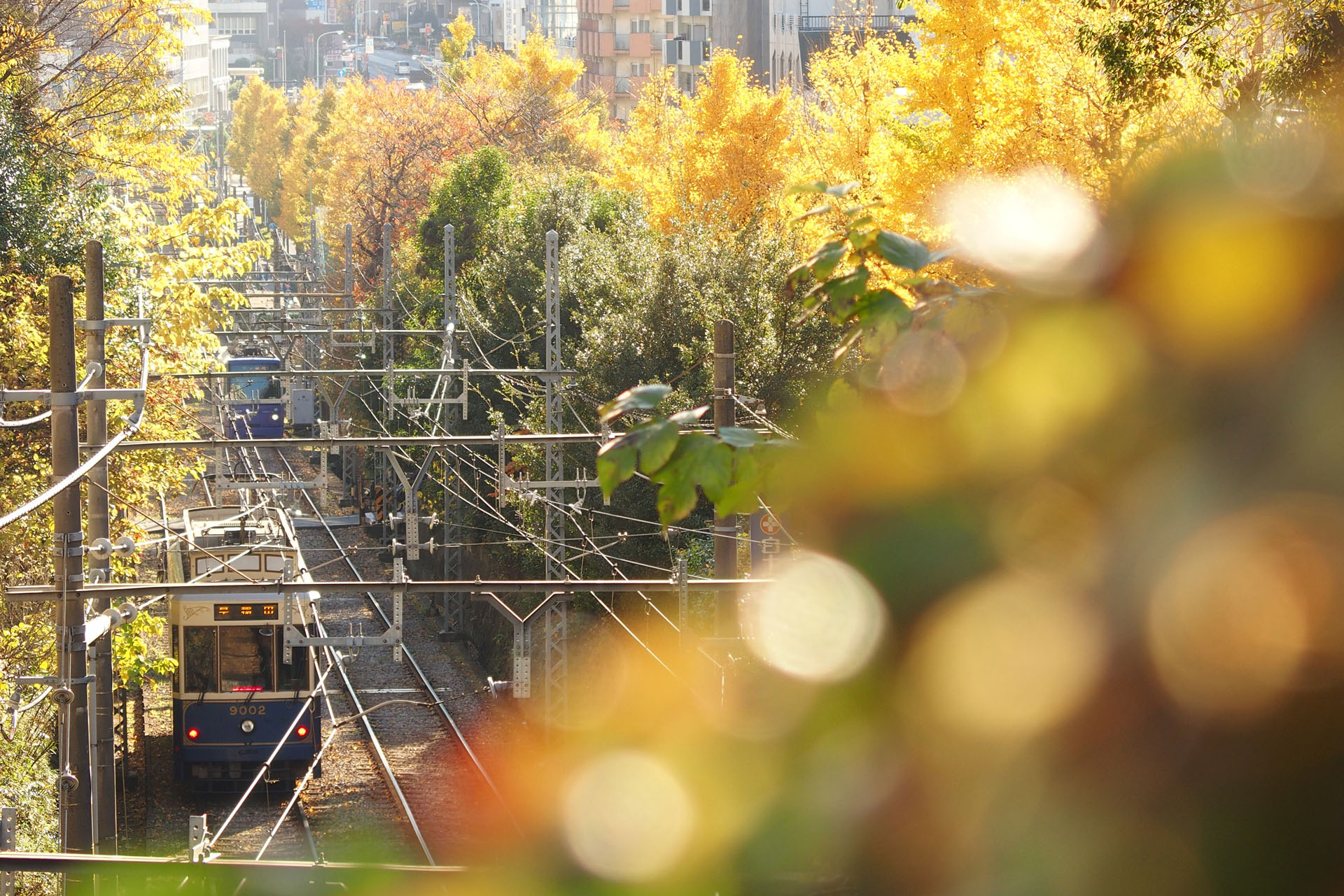 オリンパスSTYLUS 1（136mm）　絞り優先オート（F2.8、1/250秒）ISO 100　WB:日陰