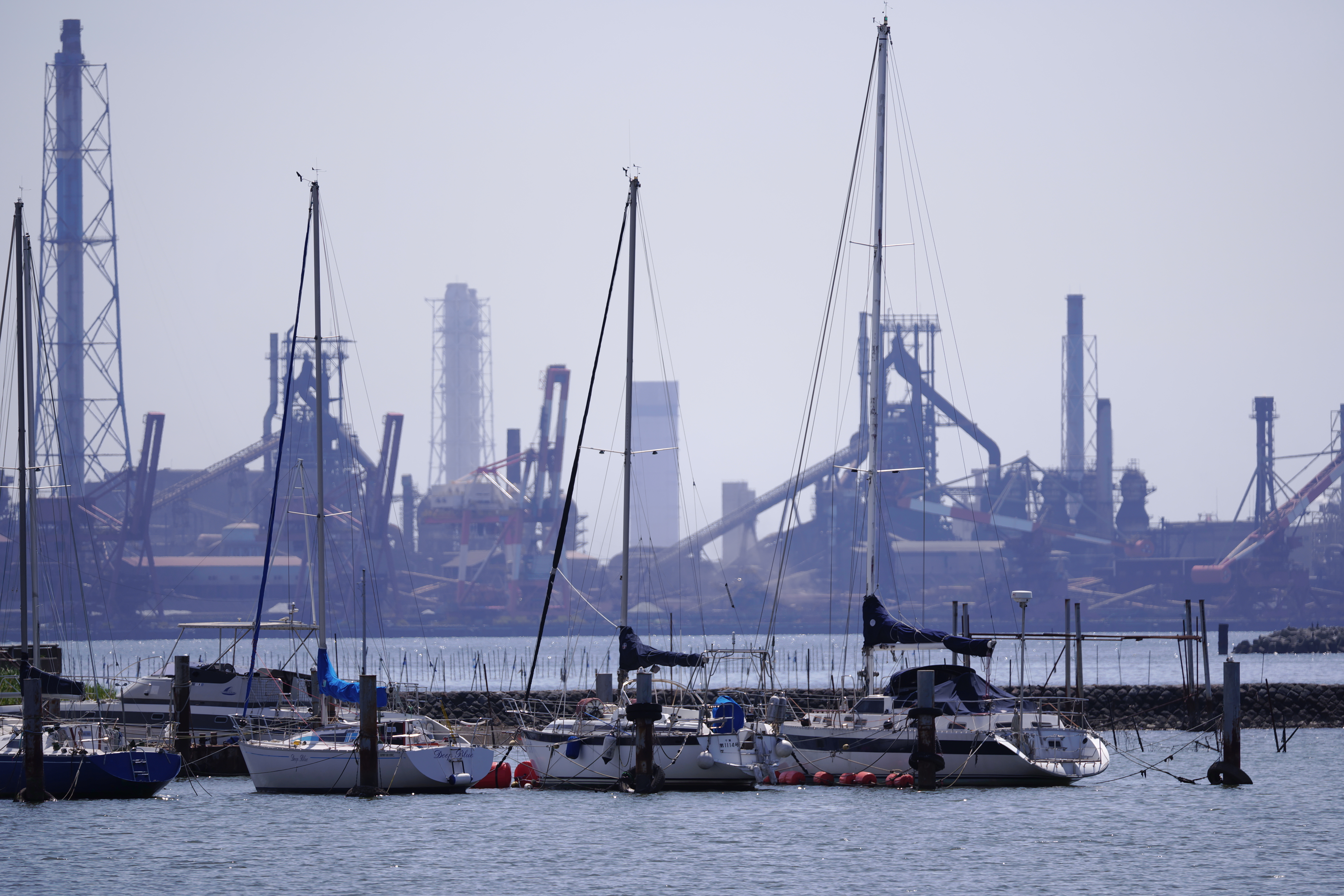 SIGMA fp / SIGMA 100-400mm F5-6.3 DG DN OS｜Contemporary（400mm） / 絞り優先AE（F6.3・1/500秒・+0.7EV） ISO 100