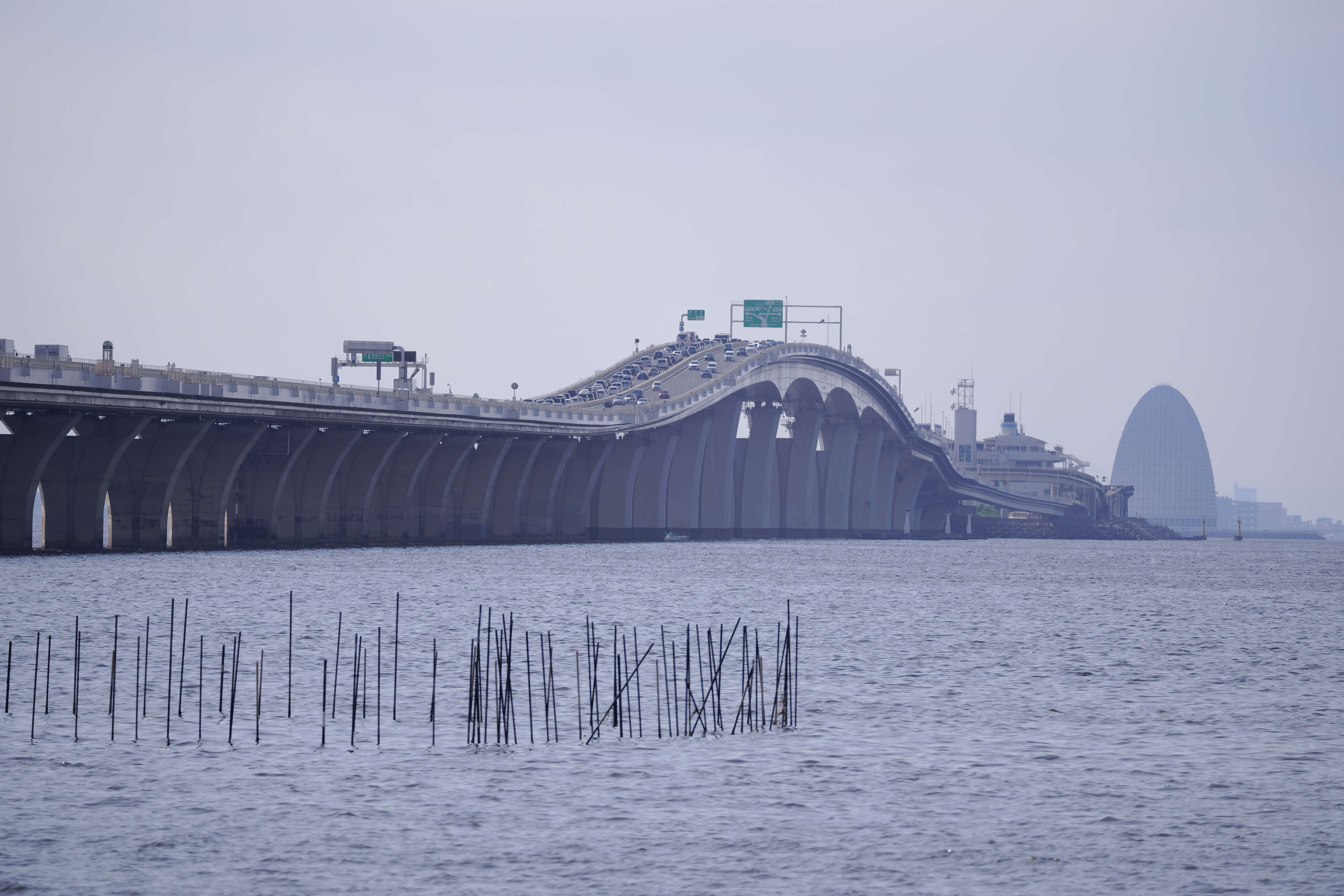 SIGMA fp / SIGMA 100-400mm F5-6.3 DG DN OS｜Contemporary（400mm） / 絞り優先AE（F6.3・1/500秒・+1.0EV） ISO 100