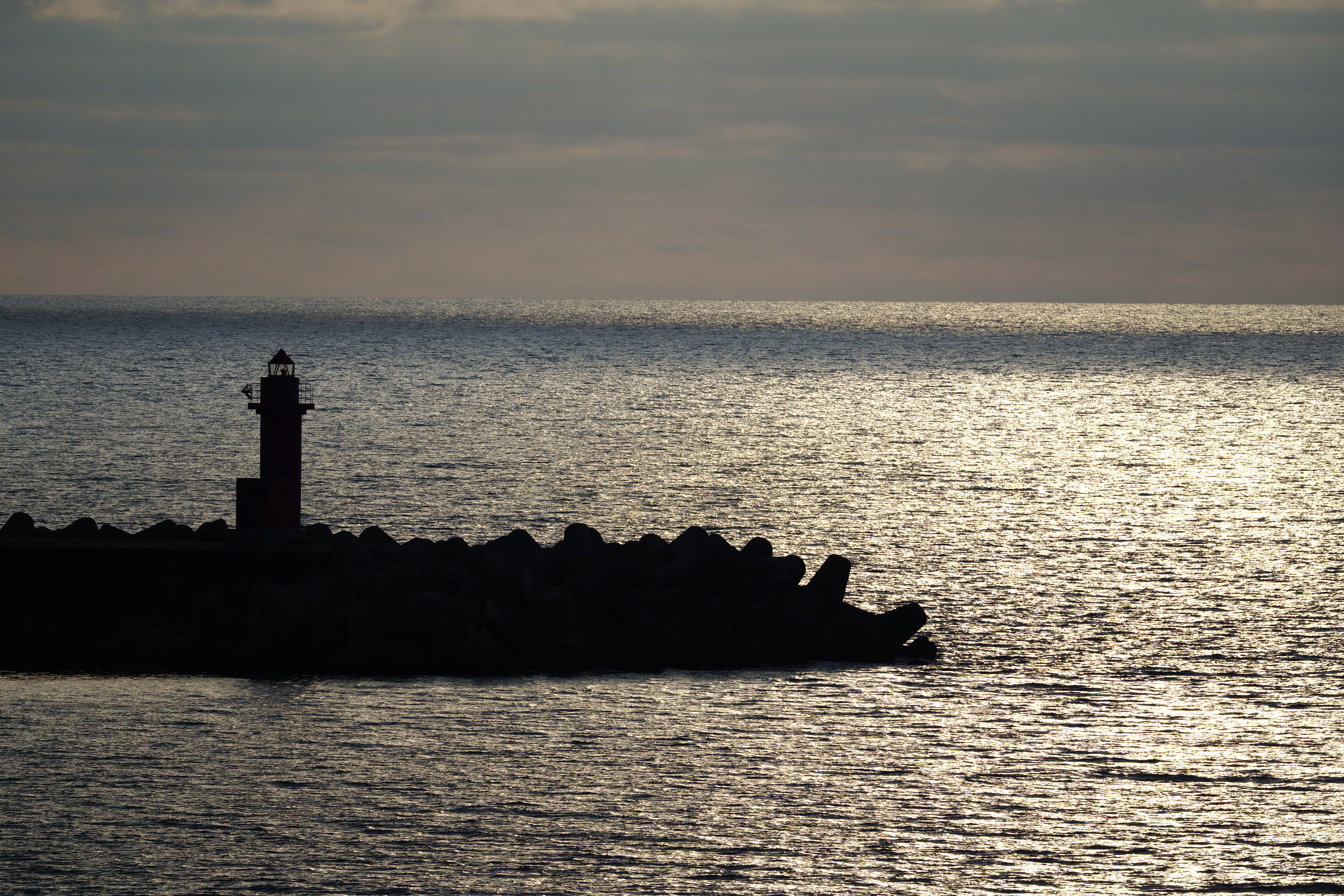 SIGMA fp / SIGMA 100-400mm F5-6.3 DG DN OS｜Contemporary（400mm） / 絞り優先AE（F8.0・1/1,000秒・±0EV） ISO 200