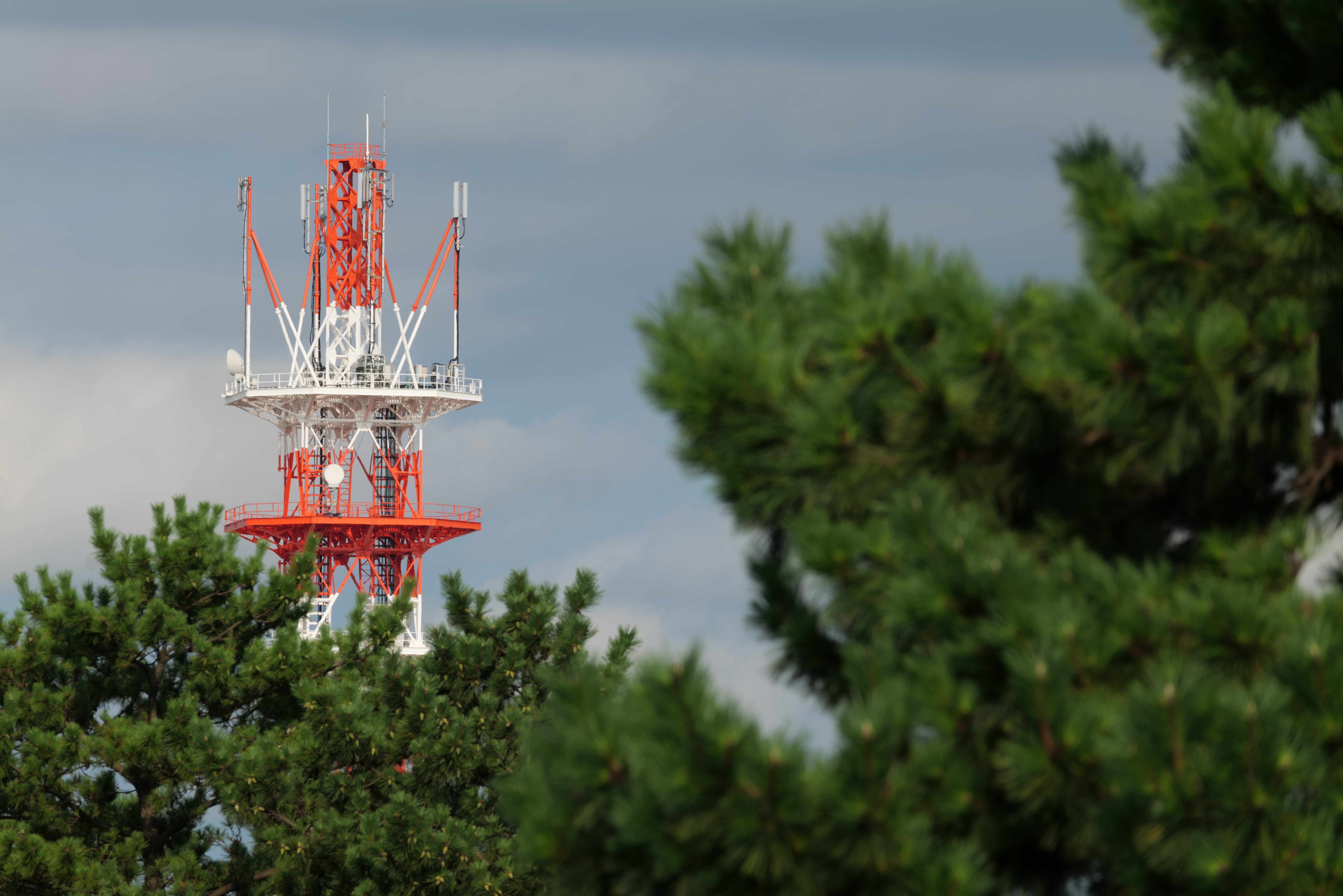 Panasonic LUMIX S1R / SIGMA 100-400mm F5-6.3 DG DN OS｜Contemporary（400mm） / 絞り優先AE（F13・1/100秒・-0.3EV） ISO 100