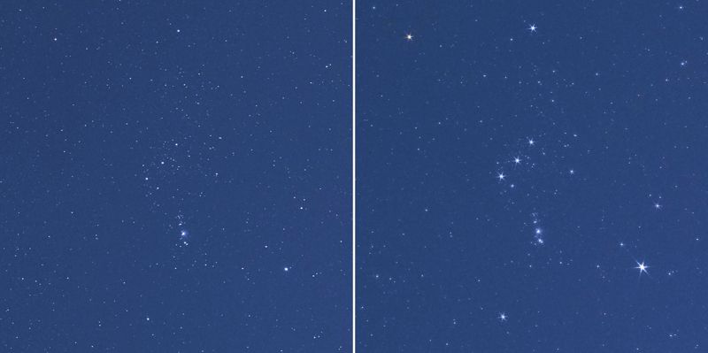 左：フィルターなし　右：フィルターあり