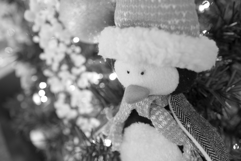 先週末、羽田空港で飛行機を眺めてきました。もはや海外出張が懐かしい。