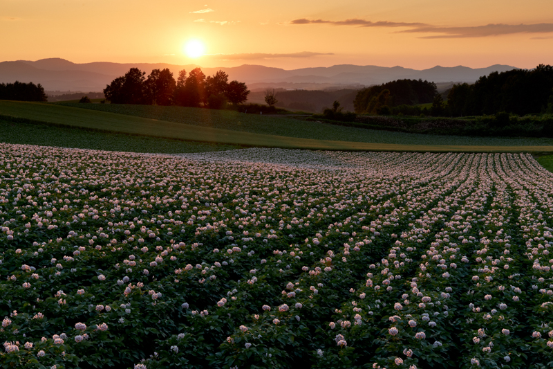 EOS R5 / RF24-105mm F4 L IS USM / 1/25秒 / F16 / ISO 200