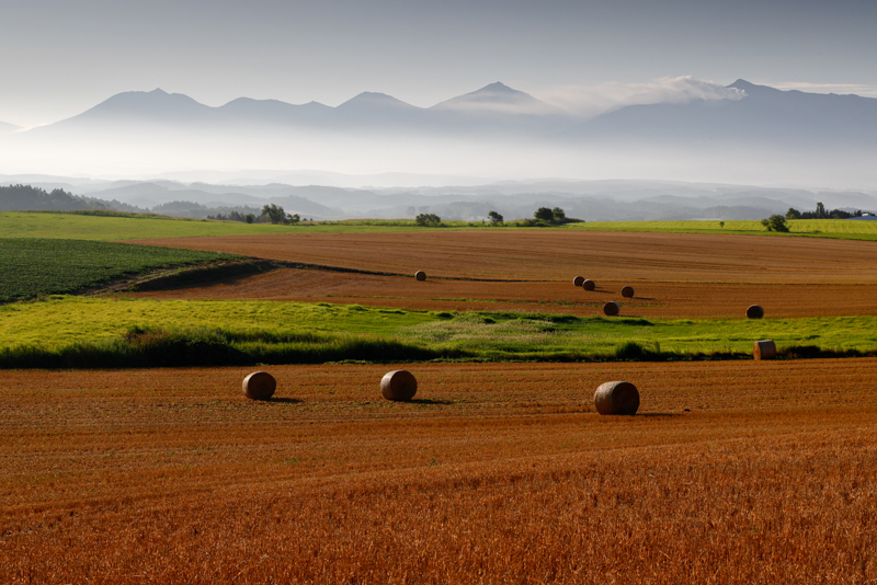 EOS R5 / RF24-105mm F4 L IS USM / 1/160秒 / F16 / ISO 200