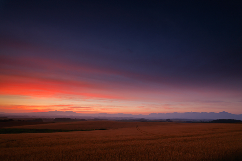 EOS R5 / RF15-35mm F2.8 L IS USM / 0.3秒 / F8 / ISO 200