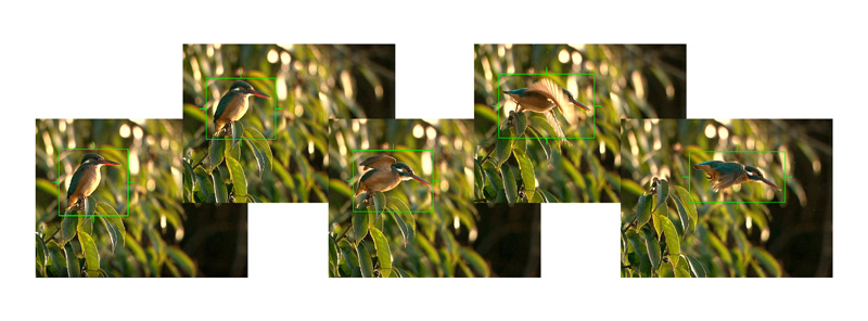 プロキャプチャーモードの撮影イメージ