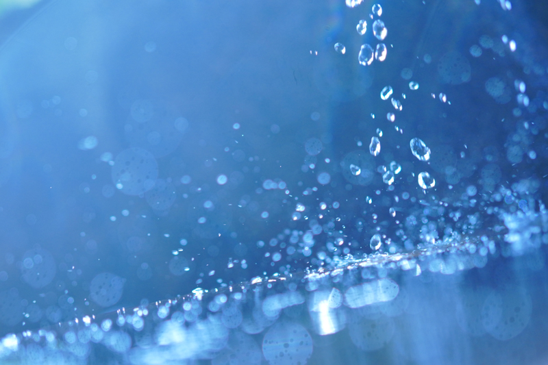 α7C / Planar T* FE 50mm F1.4 ZA / 50mm / マニュアル露出（1/1,600秒・F1.4） / ISO 400