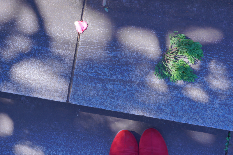 α7C / FE 28-60mm F4-5.6 / 42mm相当（撮影時にクロップ） / マニュアル露出（1/125秒・F5.6） / ISO 100