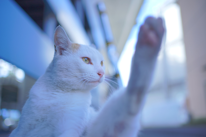 α7C / FE 35mm F1.8 / 35mm / マニュアル露出（1/400秒・F1.8） / ISO 100