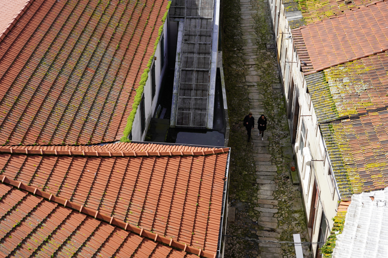 α7 III / FE 24-105mm F4 G OSS / 24mm / 絞り優先（1/800秒・F5.0・-0.3EV） / ISO 100