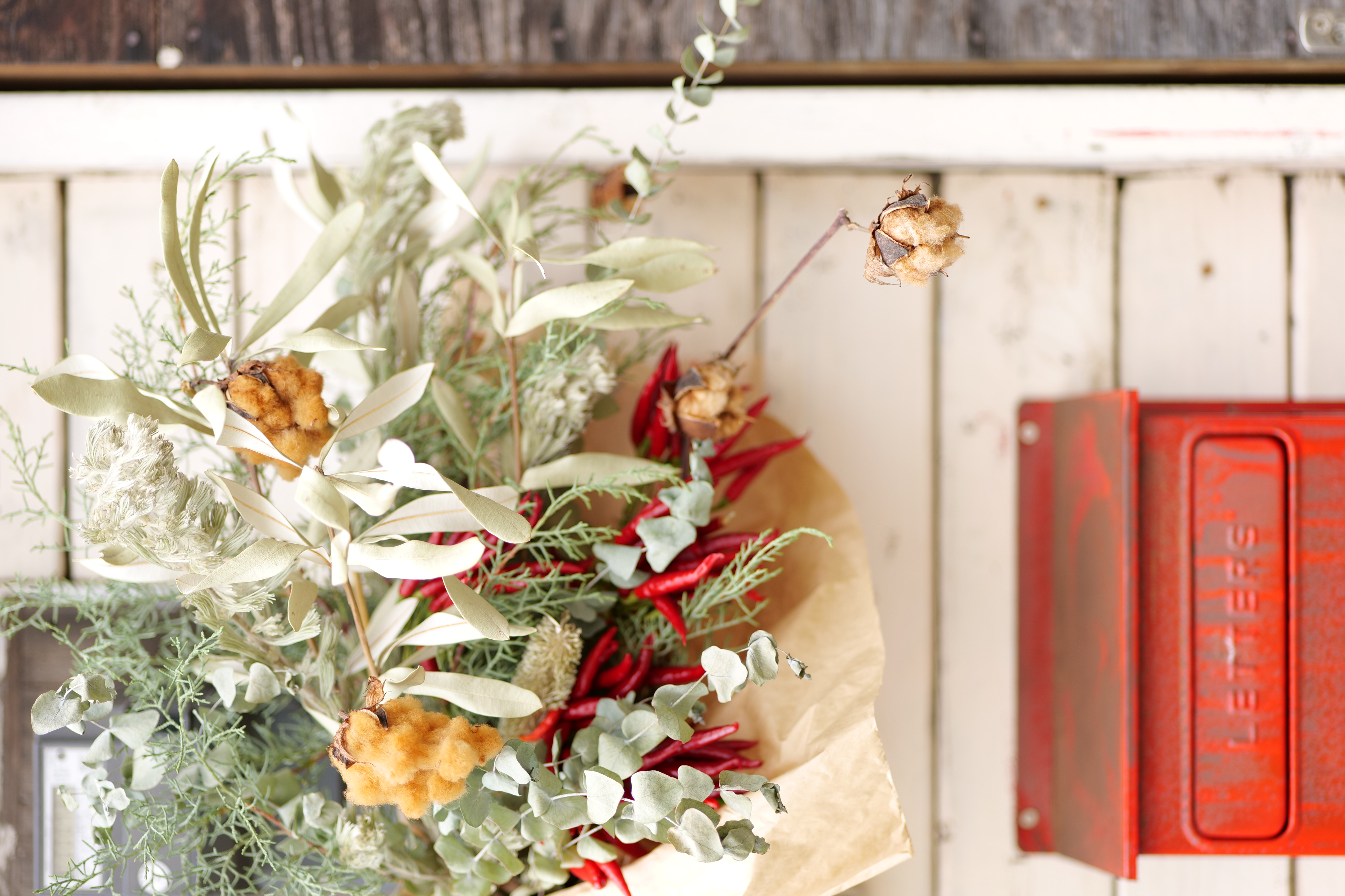 <span class="fnt-85">Panasonic LUMIX S5 / LUMIX S 85mm F1.8 / プログラムAE（F1.8・1/100秒・+1.3EV） / ISO 100</span>