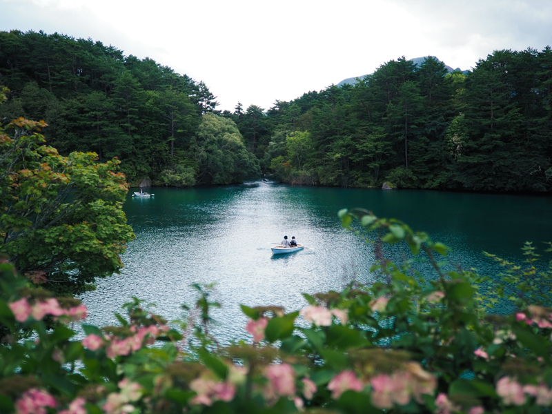五色沼湖沼群の1つである毘沙門沼。手前に咲いている花を前ボケにして奥に見えるボートにピントを合わせた。前ボケを利用することで、写真に奥行きを加えた<br><span class="fnt-85">OM-D E-M1 Mark III/ M.ZUIKO DIGITAL ED 17mm F1.2 PRO / 17mm（34mm相当） / 絞り優先AE（F1.2、1/8,000秒、-0.7EV） / ISO 200 / WB:晴天</span>