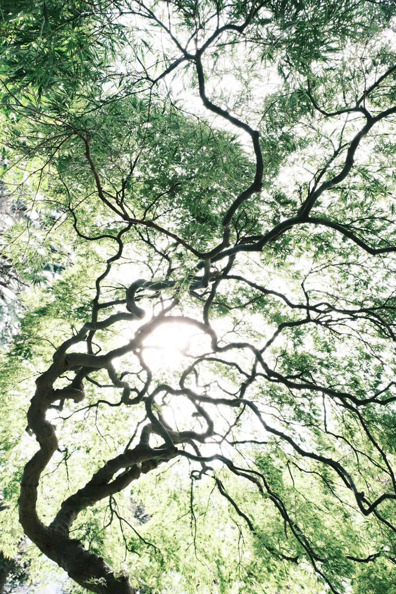 クラシックネガ<br><span class="fnt-85">X-T4＋XF16-55mmF2.8 R LM WR</span>