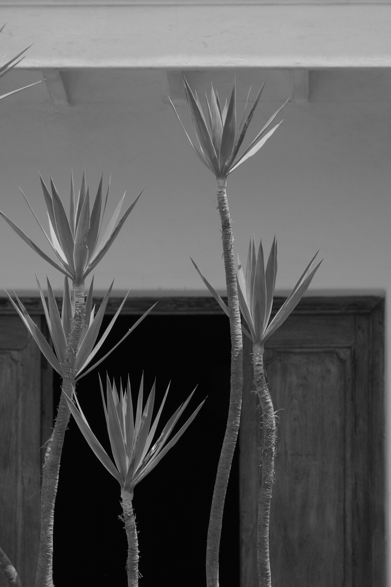 ACROS<br><span class="fnt-85">X-Pro2＋XF18-135mmF3.5-5.6 R LM OIS WR</span>