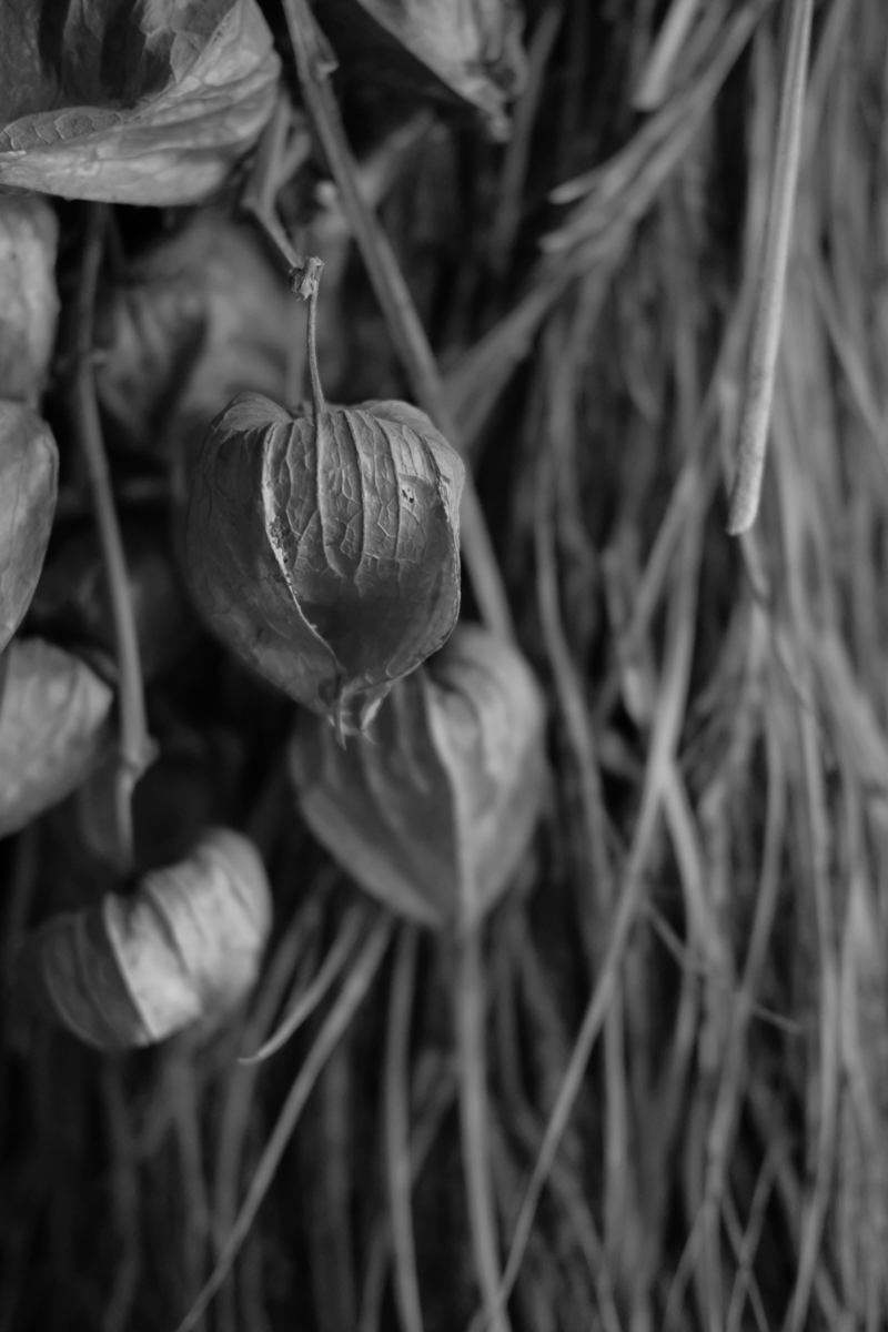 モノクロ<br><span class="fnt-85">左に同じ</span>