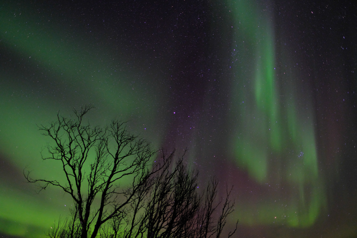 PROVIA<br><span class="fnt-85">X-T2＋XF16mmF1.4 R WR</span>