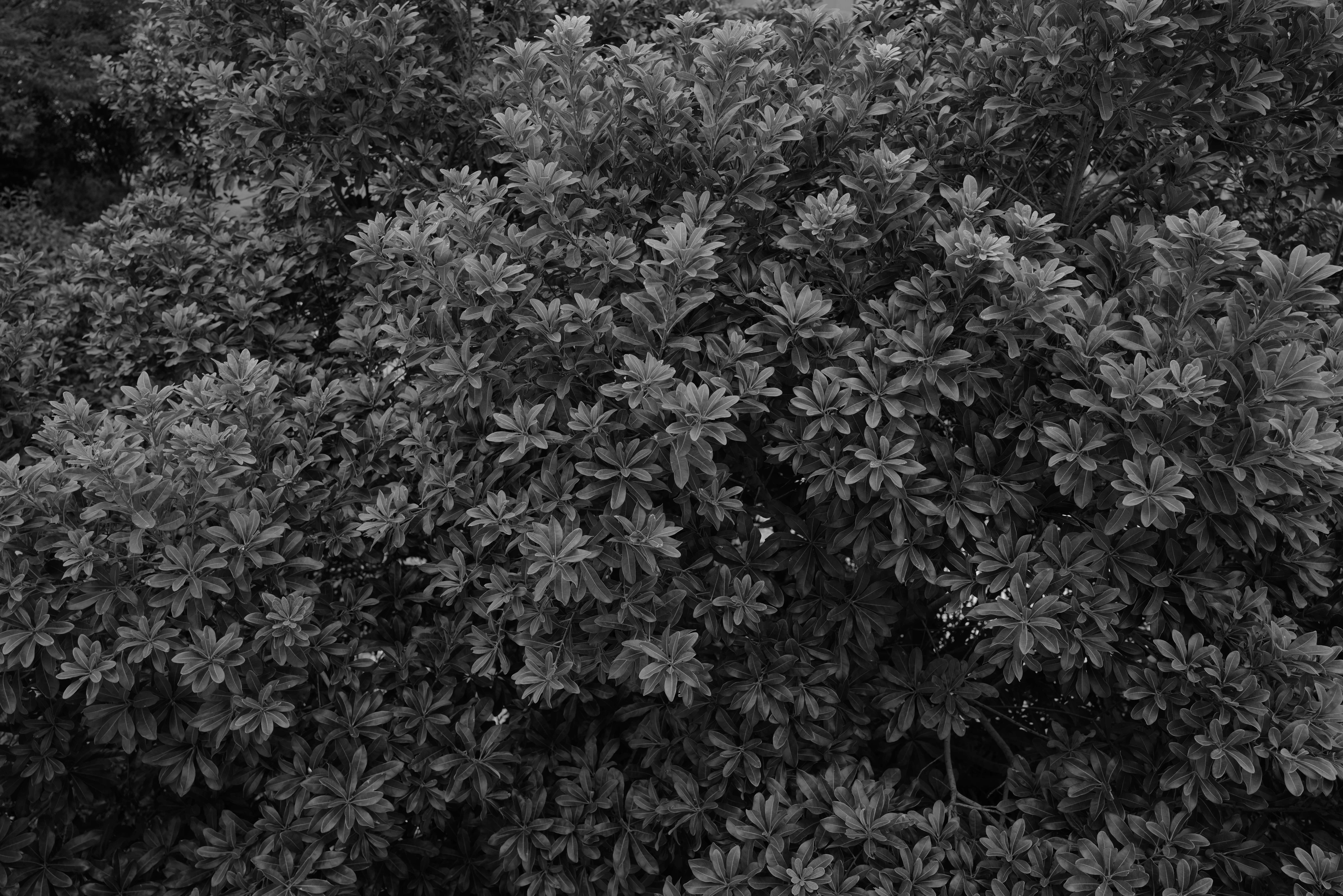 F5.6　1/100秒　ISO 200