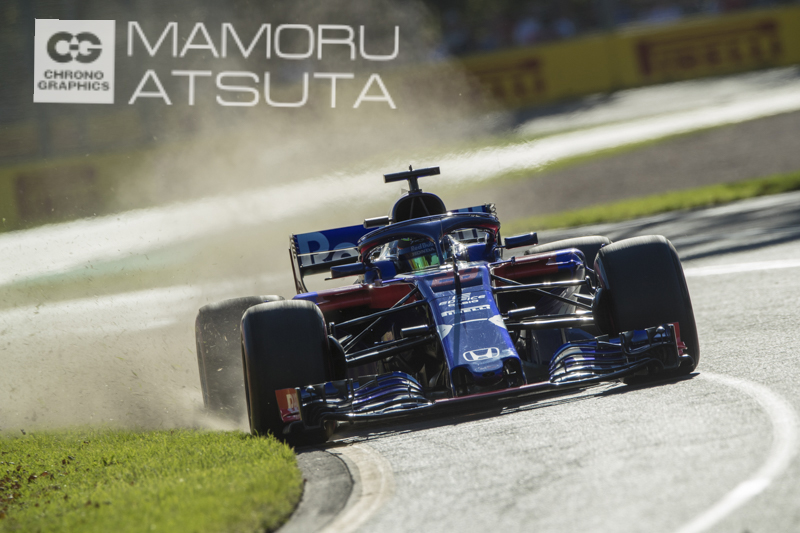 EOS-1D X Mark II　EF400mm F2.8L II USM＋EF2X II（F8・1/800秒）ISO 200