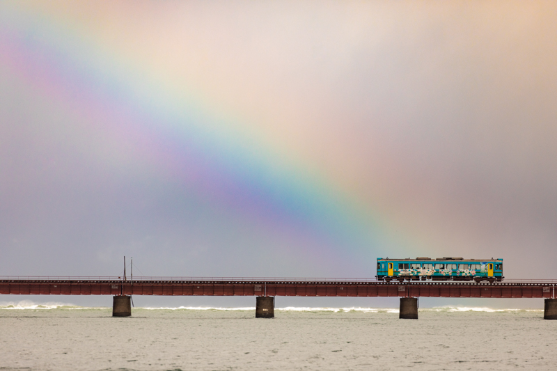 撮影：柄木孝志