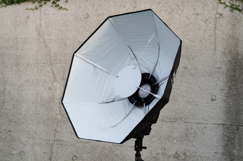 内部はこうなっている。拡散板により柔らかい光が得られる。