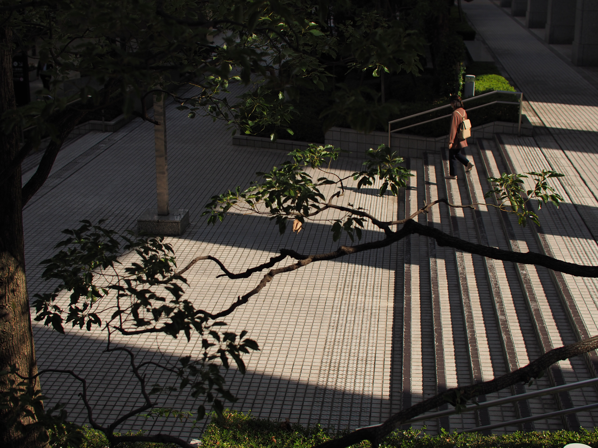 OM-D E-M1 Mark III　SUPER NOKTON 29mm F0.8 Aspherical　ISO 200　F2.8　1/4,000秒